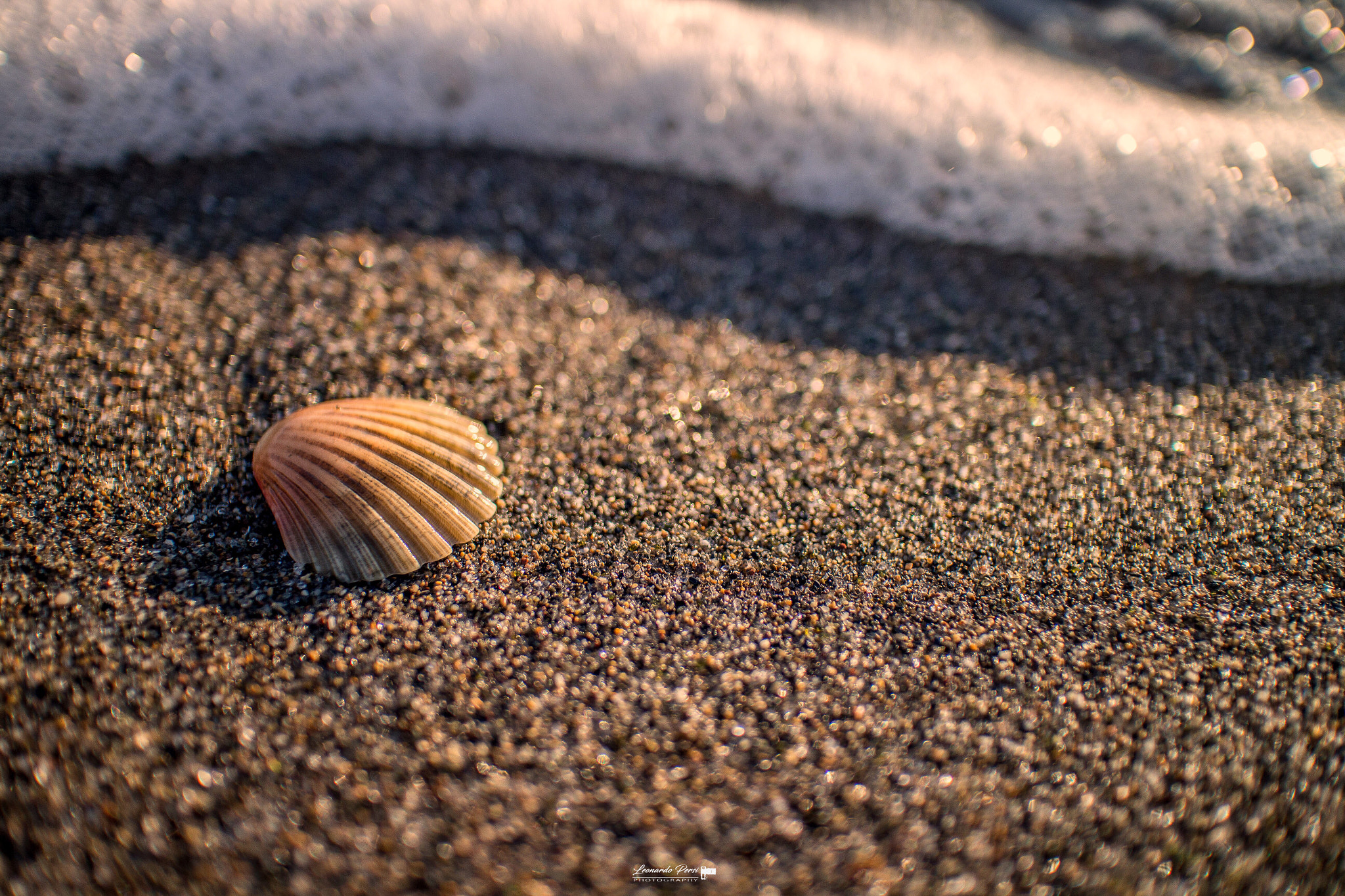 Canon EOS M + Canon EF-M 22mm F2 STM sample photo. Sfondo per il desktop photography