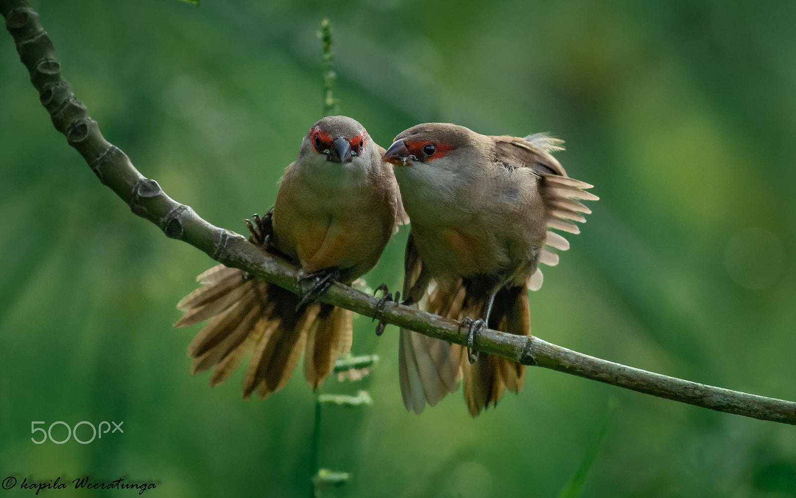 Canon EF 400mm F5.6L USM sample photo