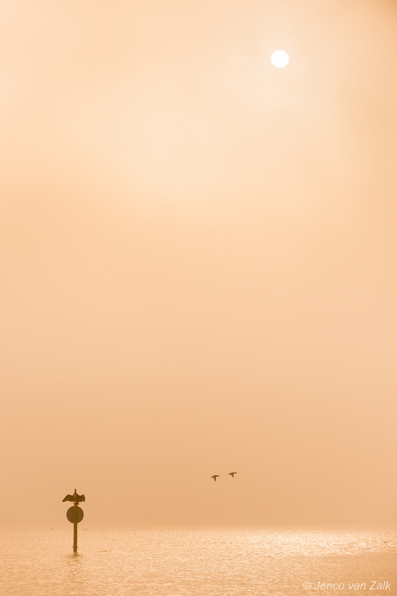 Nikon D800E sample photo. Good morning! photography