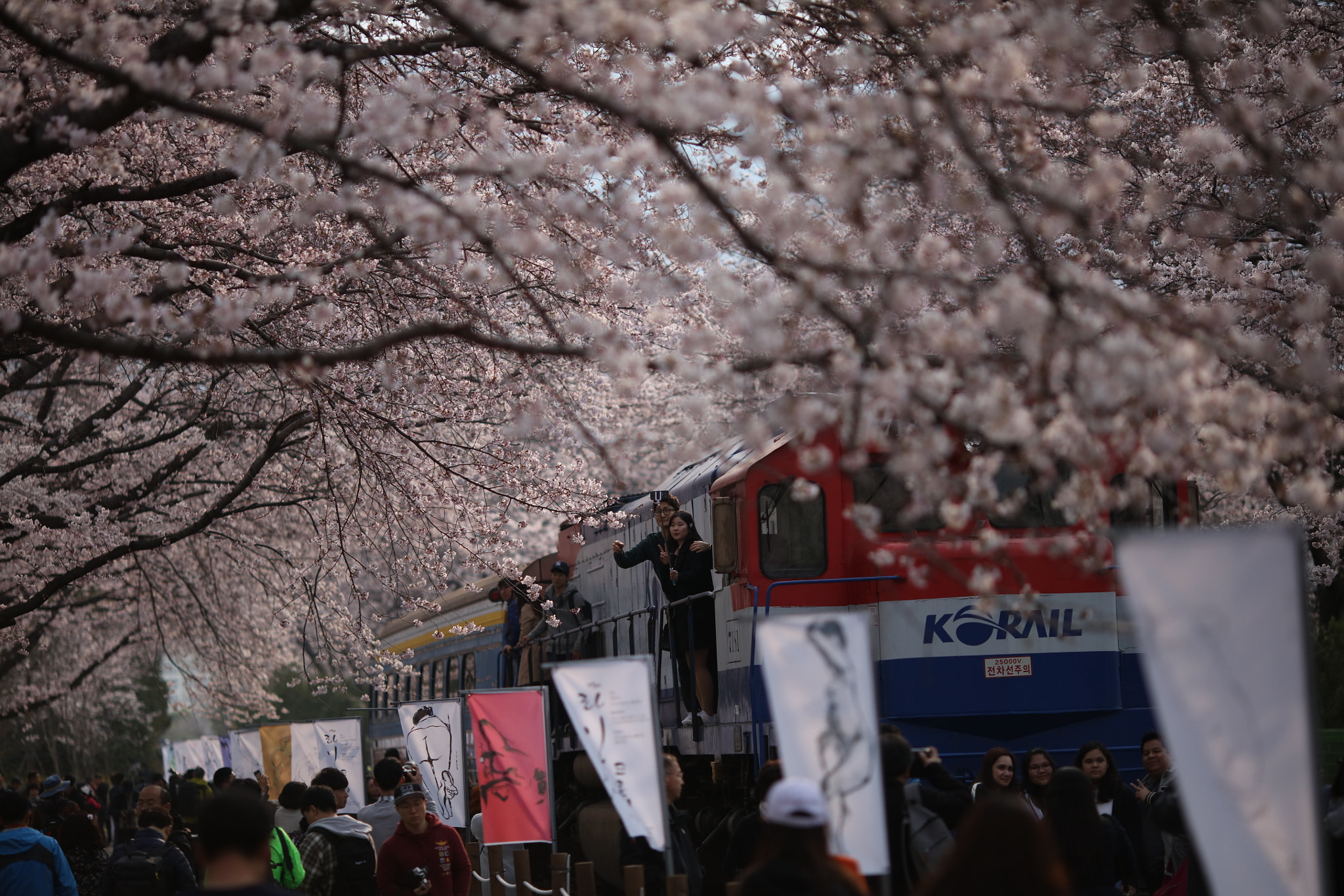 Canon EOS 5DS R + Canon EF 135mm F2L USM sample photo. 경화역 photography