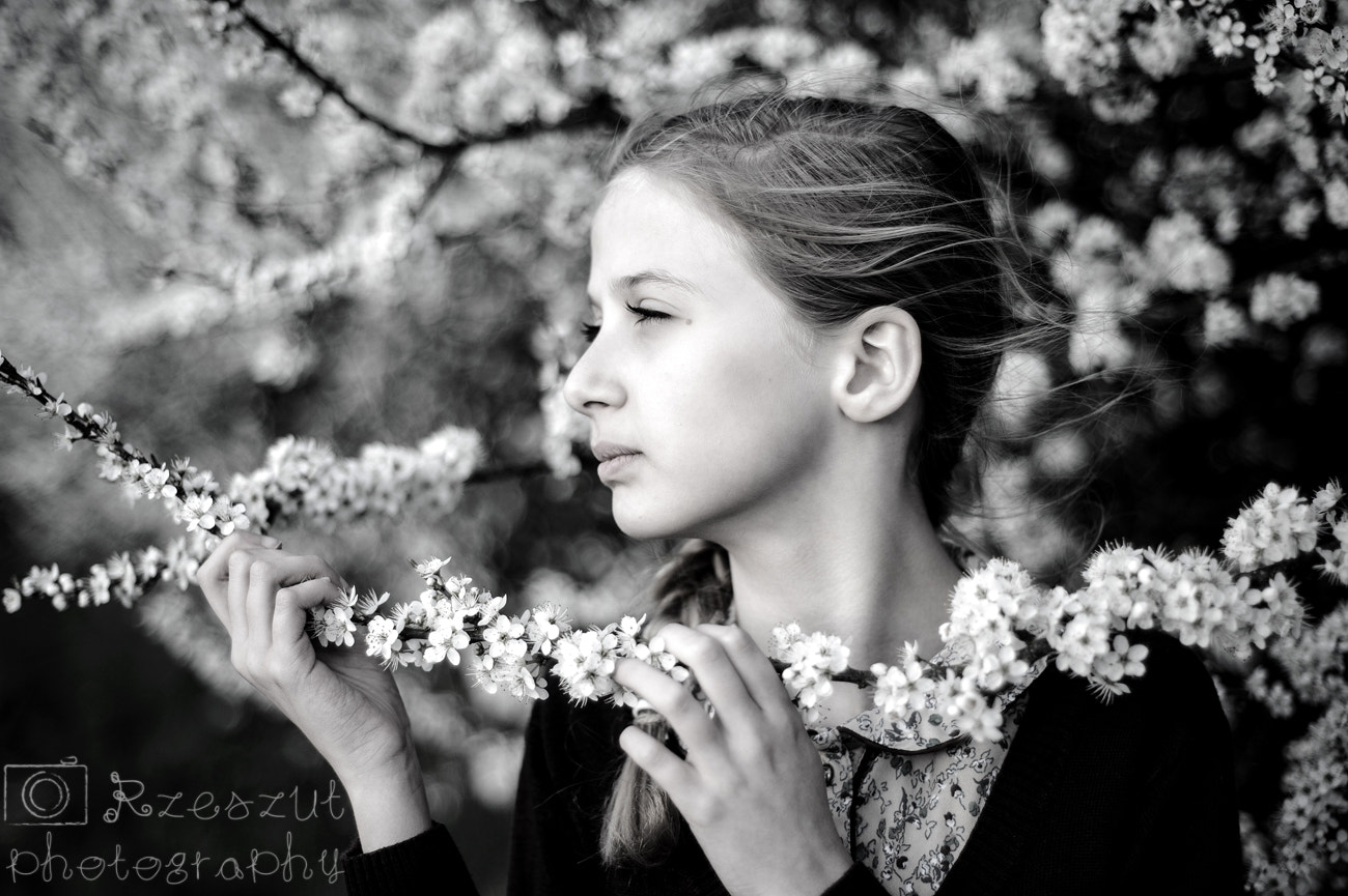 Nikon AF Nikkor 50mm F1.8D sample photo. Ola photography
