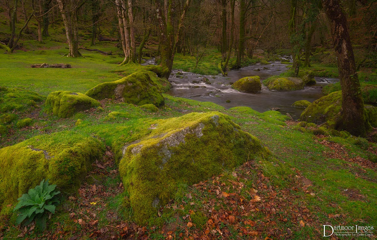 Sony a7R sample photo. The river meavy photography