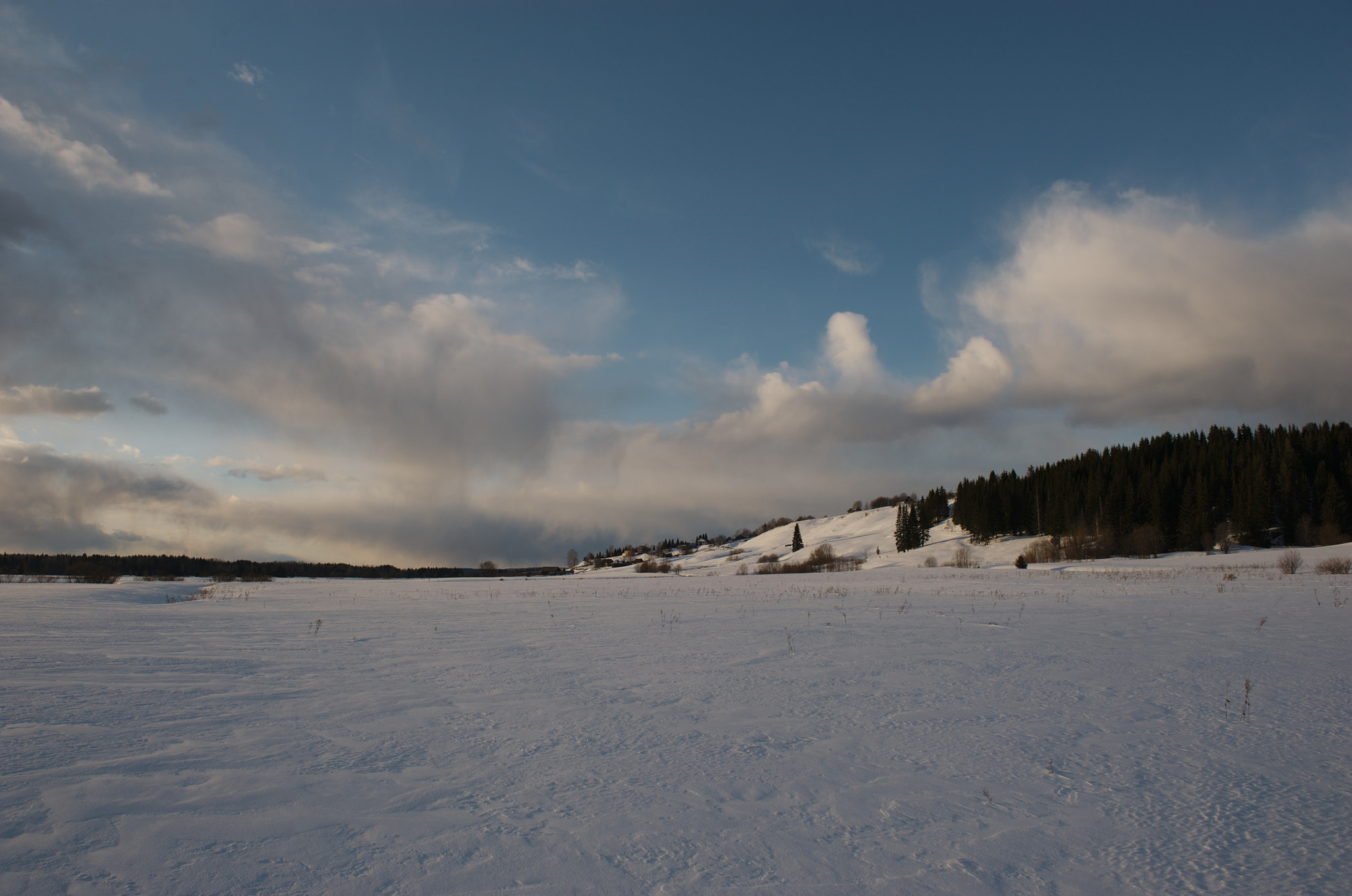 Nikon AF-S Nikkor 24-70mm F2.8G ED sample photo