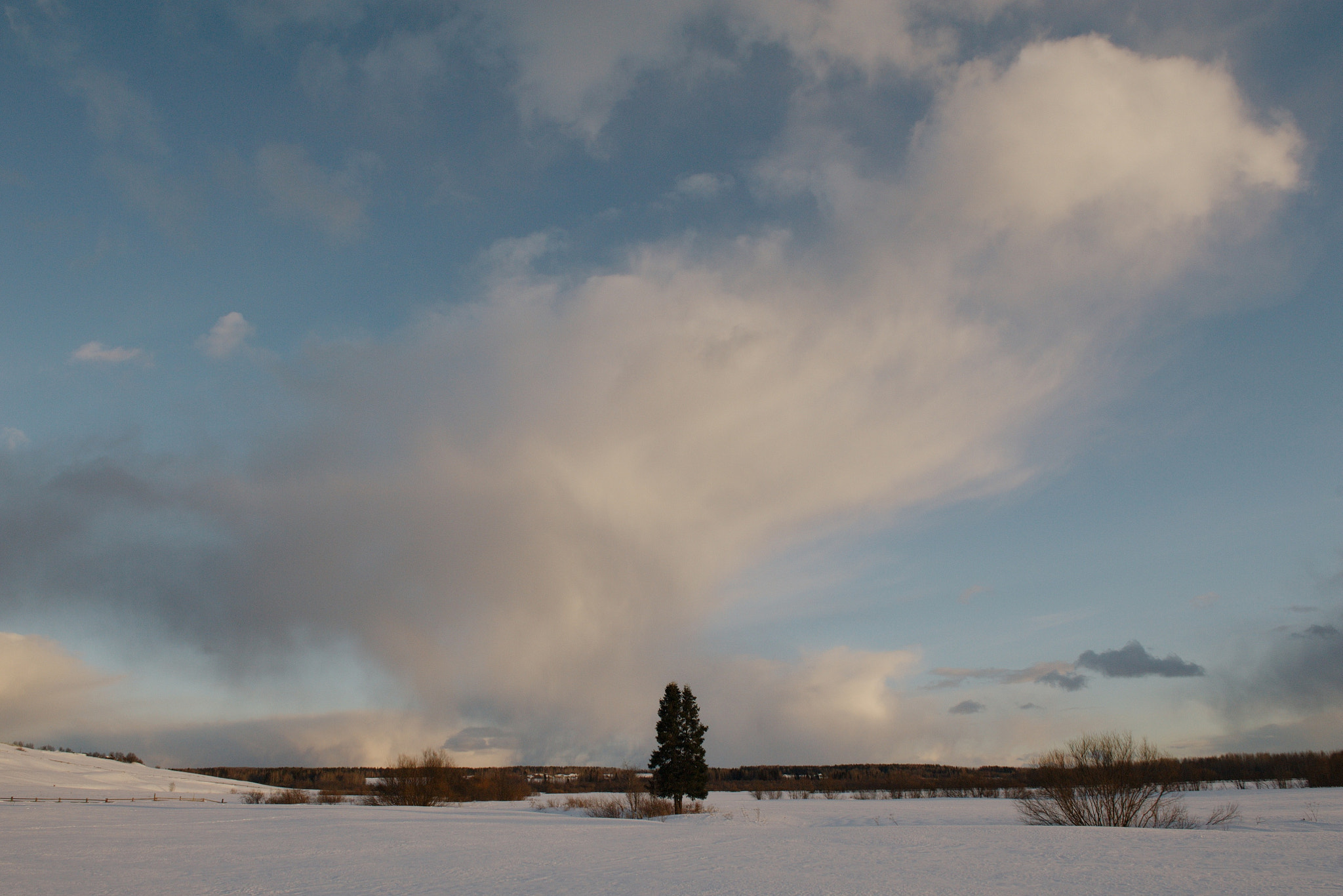 Nikon AF-S Nikkor 24-70mm F2.8G ED sample photo