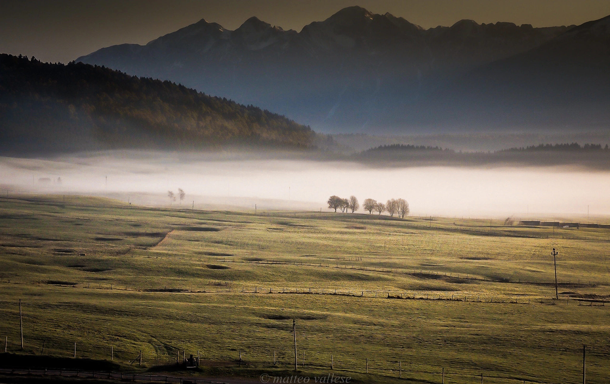 Olympus OM-D E-M1 sample photo. Fog photography