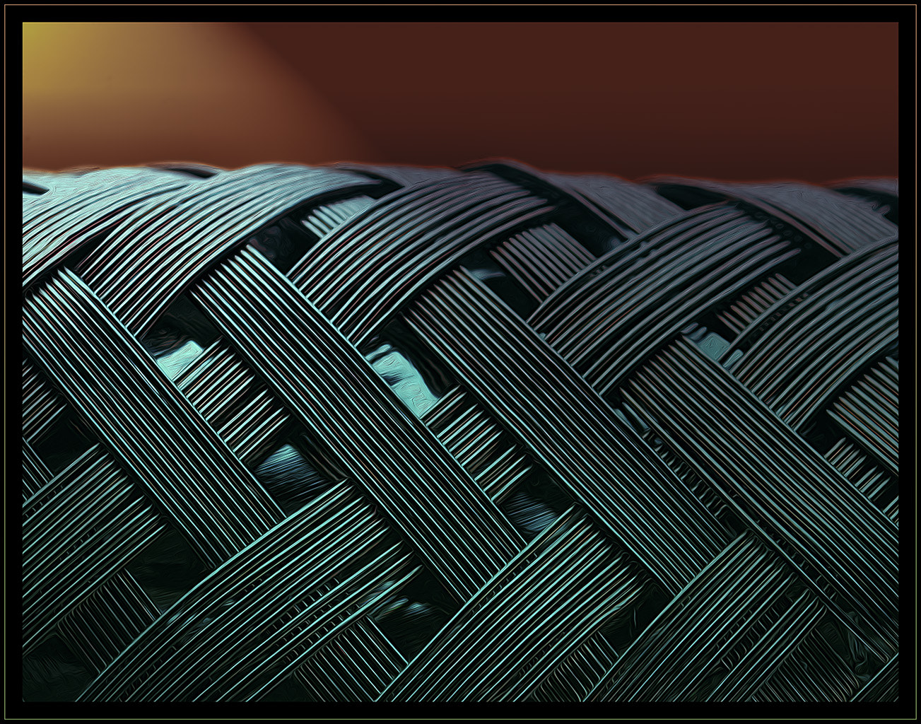Canon MP-E 65mm F2.5 1-5x Macro Photo sample photo. The wrap photography