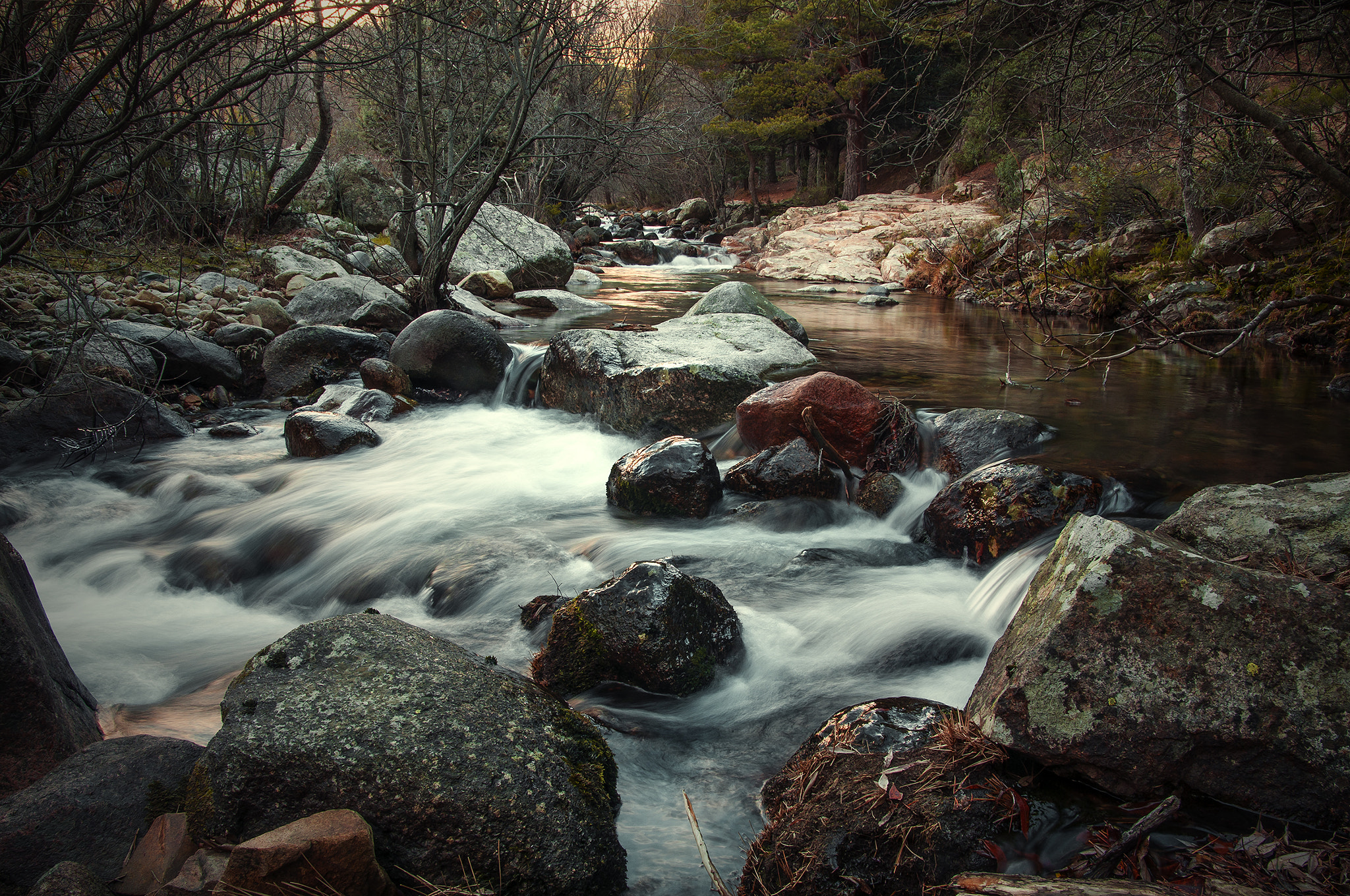 Nikon D300 + Sigma 17-50mm F2.8 EX DC OS HSM sample photo. Rio900089876 photography