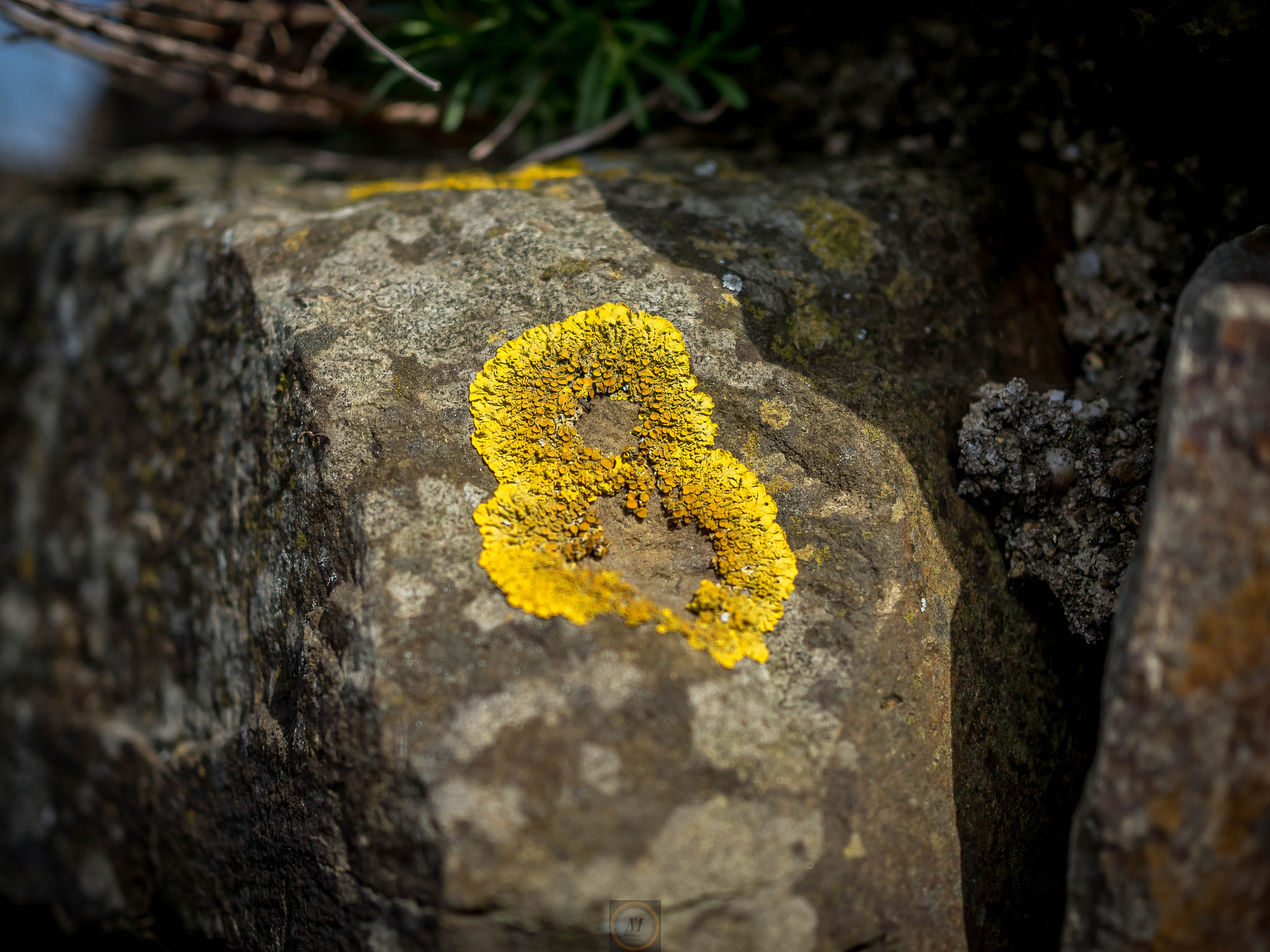 Olympus OM-D E-M5 II + Olympus M.Zuiko Digital 25mm F1.8 sample photo. Eight! photography
