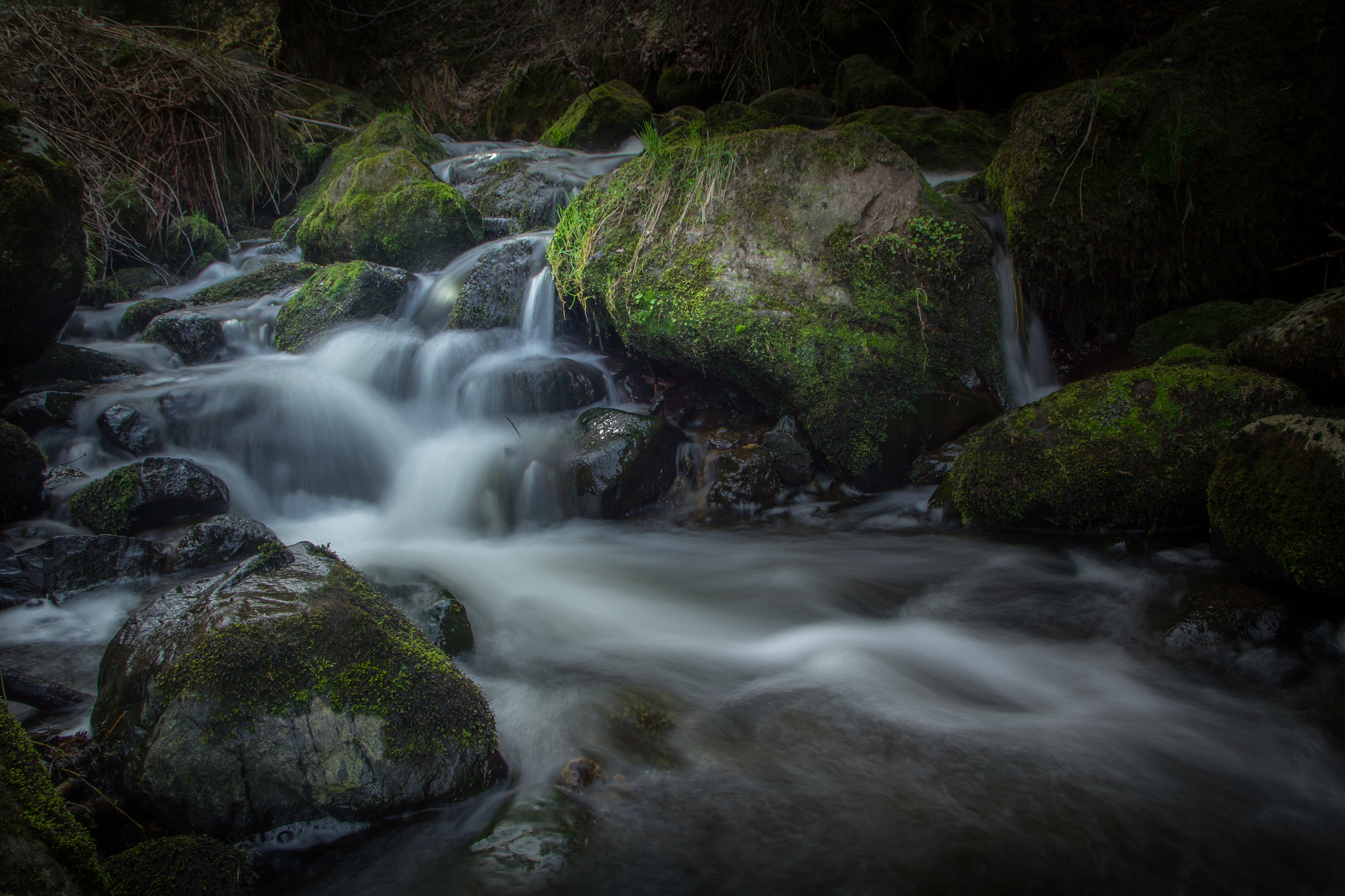 Sigma 18-250mm F3.5-6.3 DC OS HSM sample photo. Down by the riverside photography