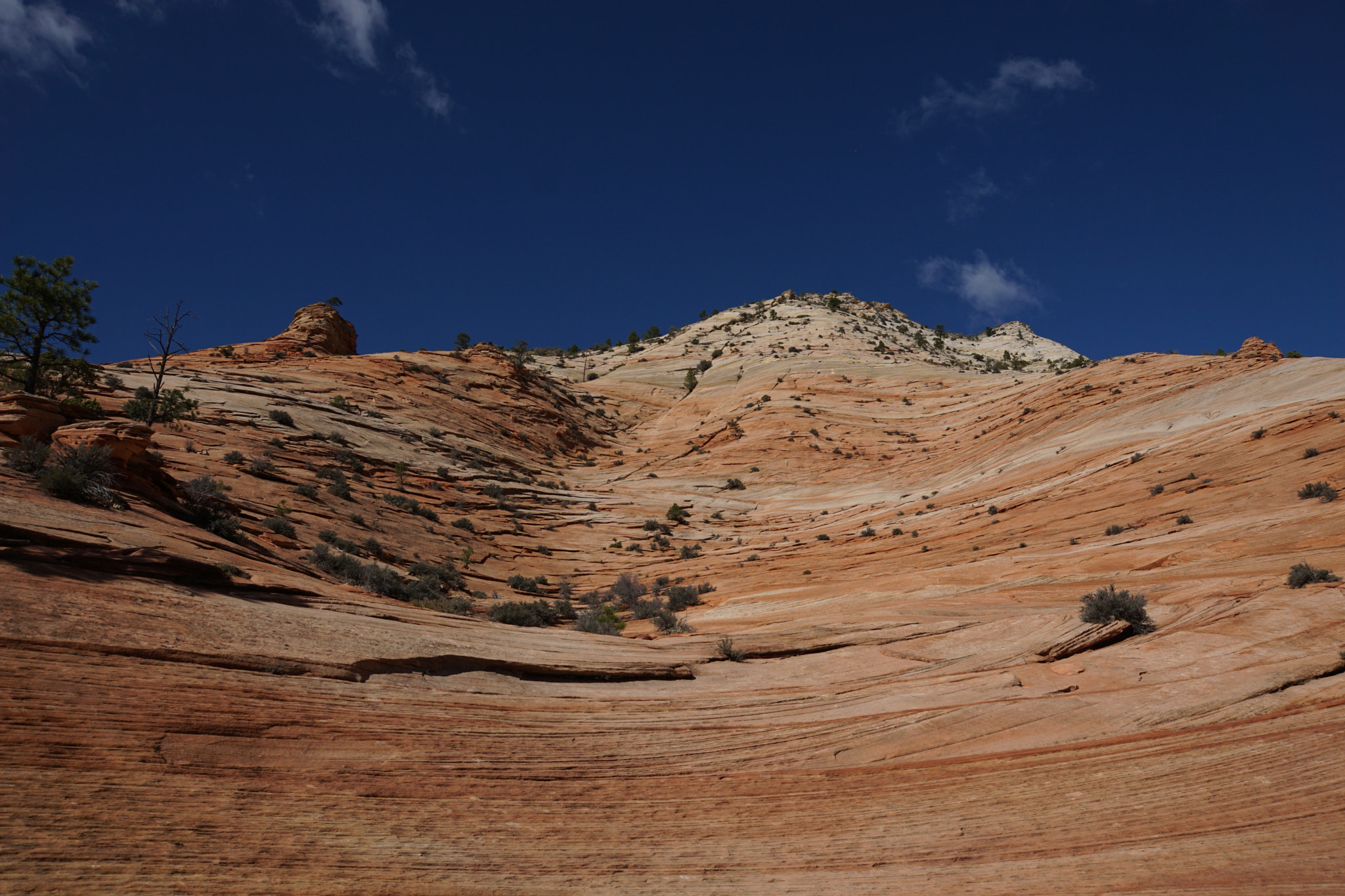 Sony ILCA-77M2 sample photo. Zion national park photography
