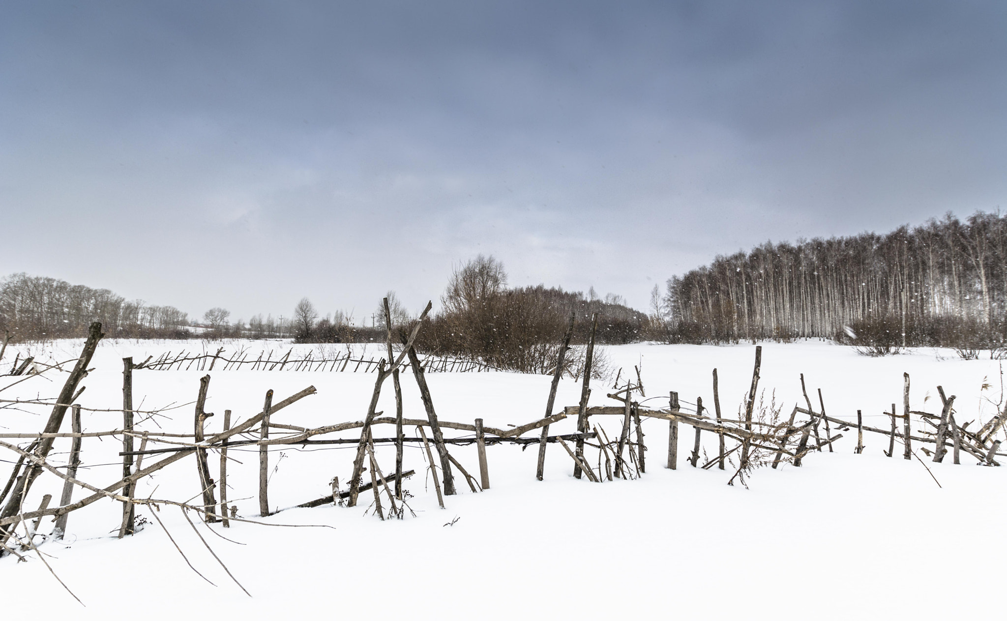 Nikon D5200 + Sigma 10-20mm F3.5 EX DC HSM sample photo. _dsc1230-2.jpg photography