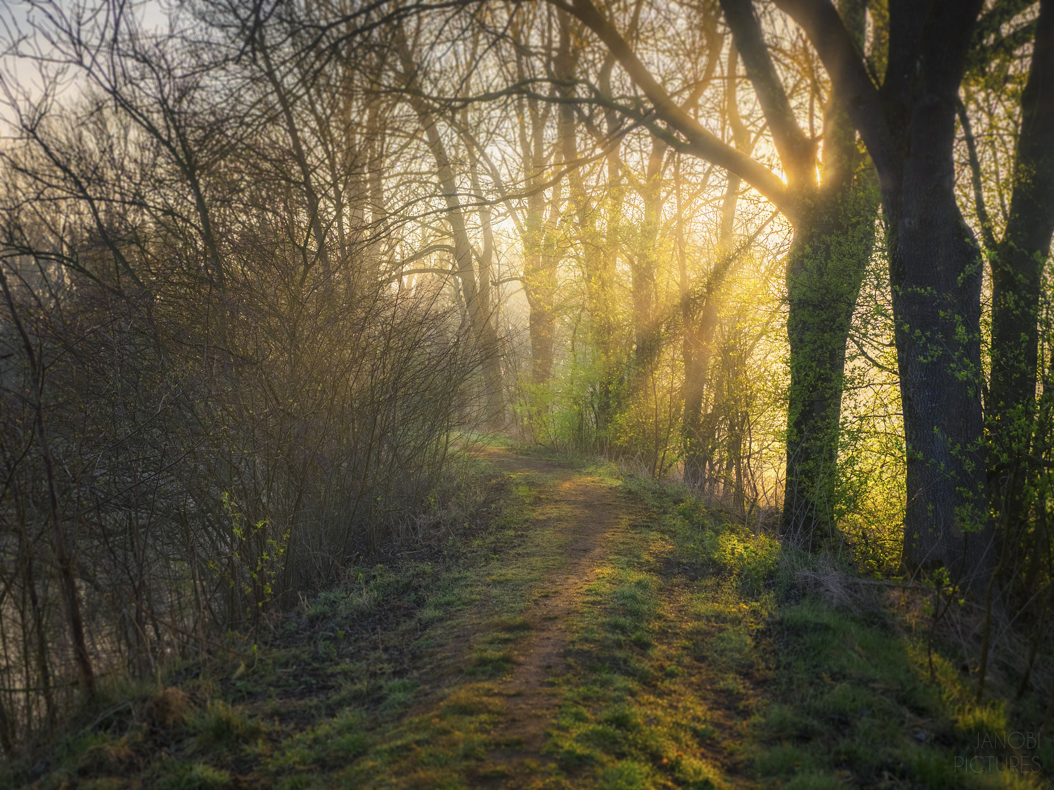 Olympus OM-D E-M5 II sample photo. ~ morning walk ~ photography