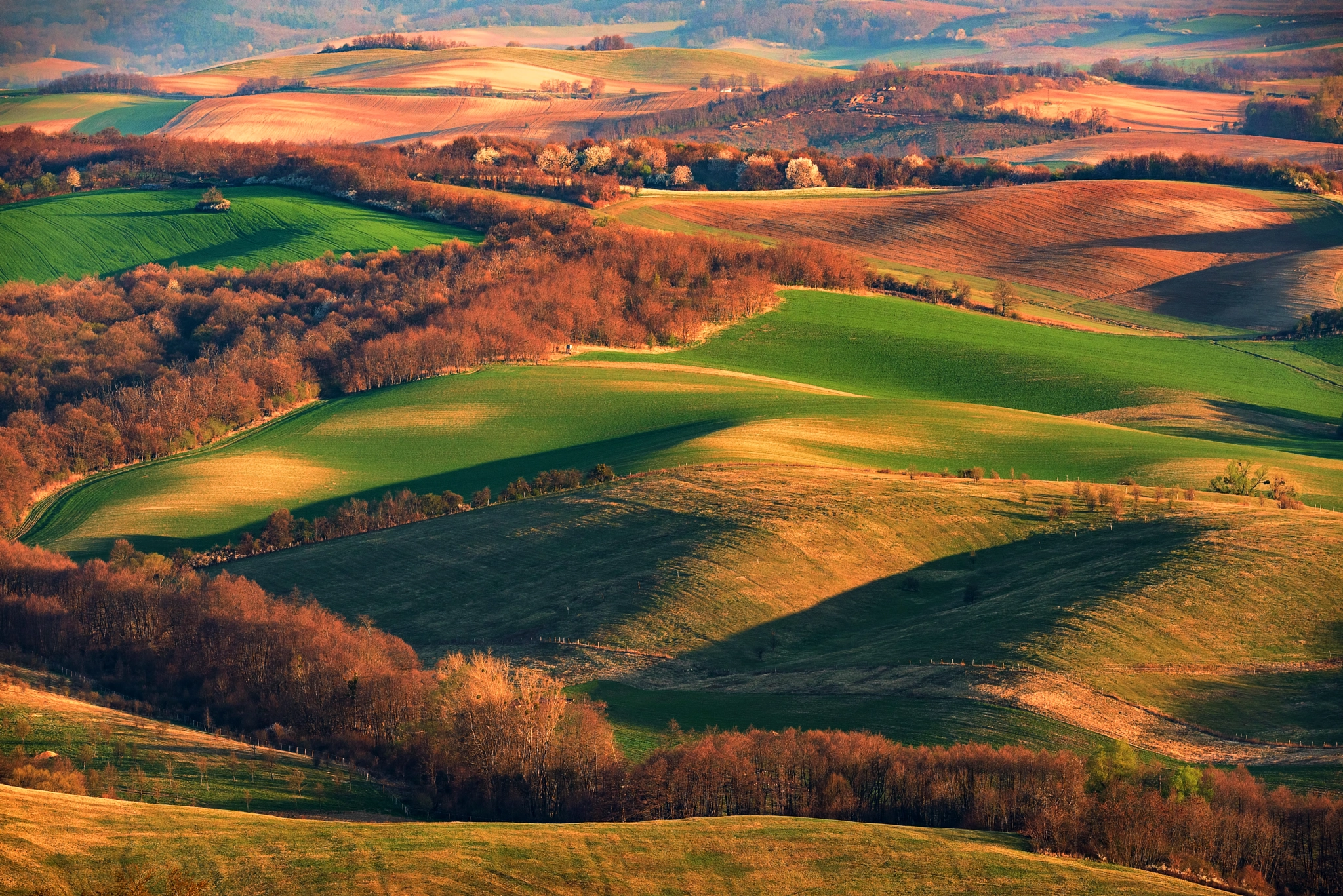 Nikon D810 sample photo. Hungarian countryside photography