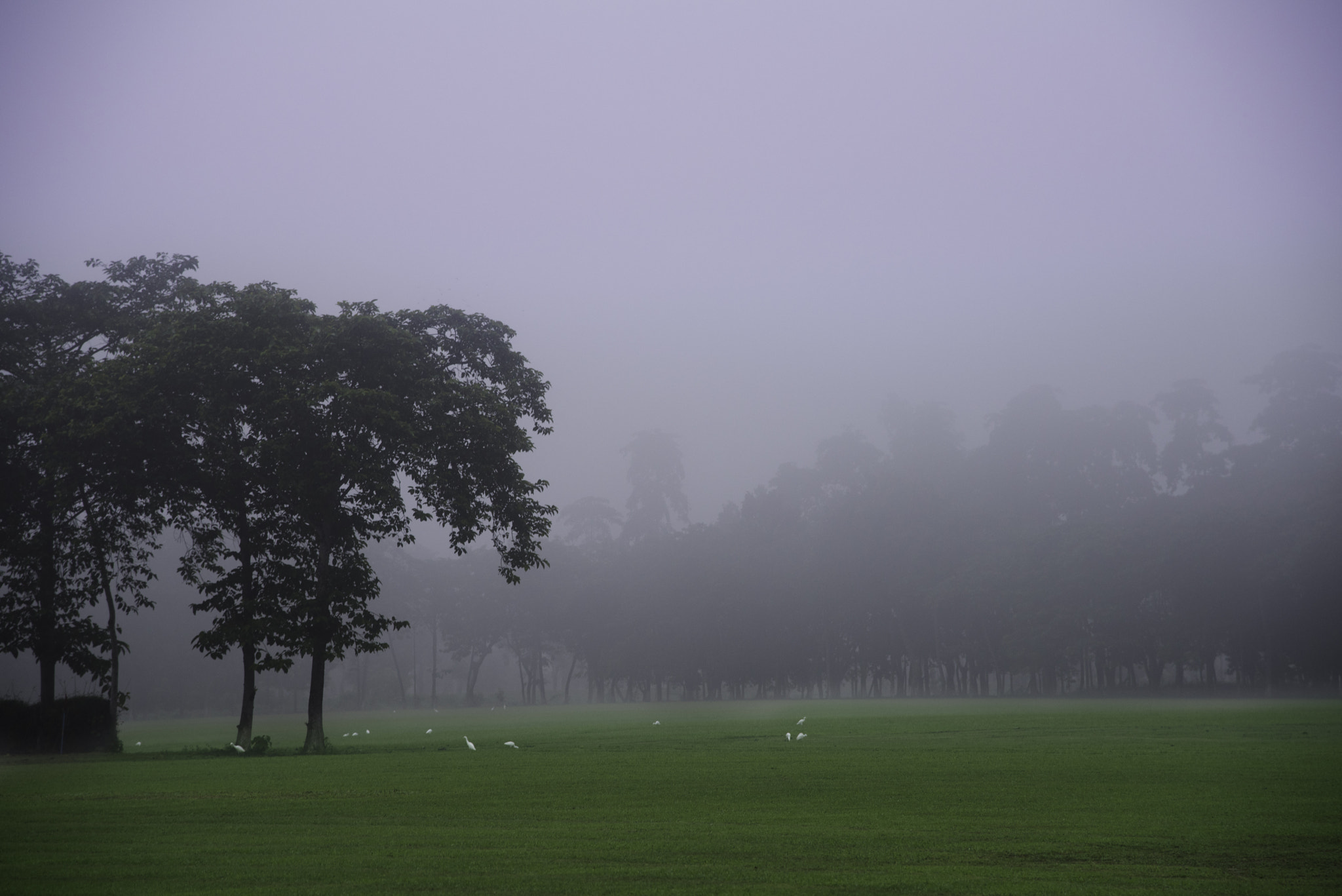 Nikon D810 sample photo. Winters morning photography