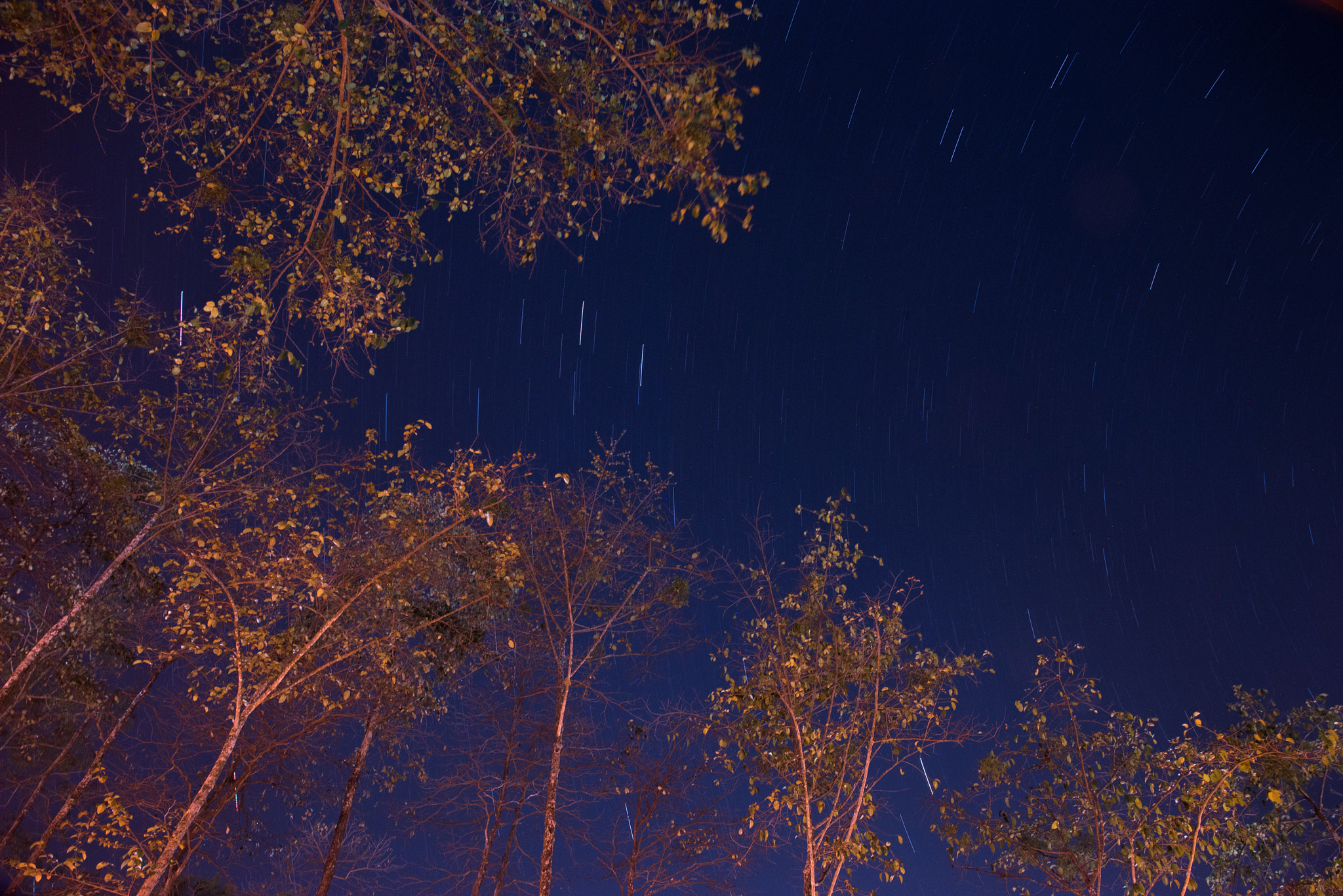 Nikon D810 sample photo. Sky full of stars photography