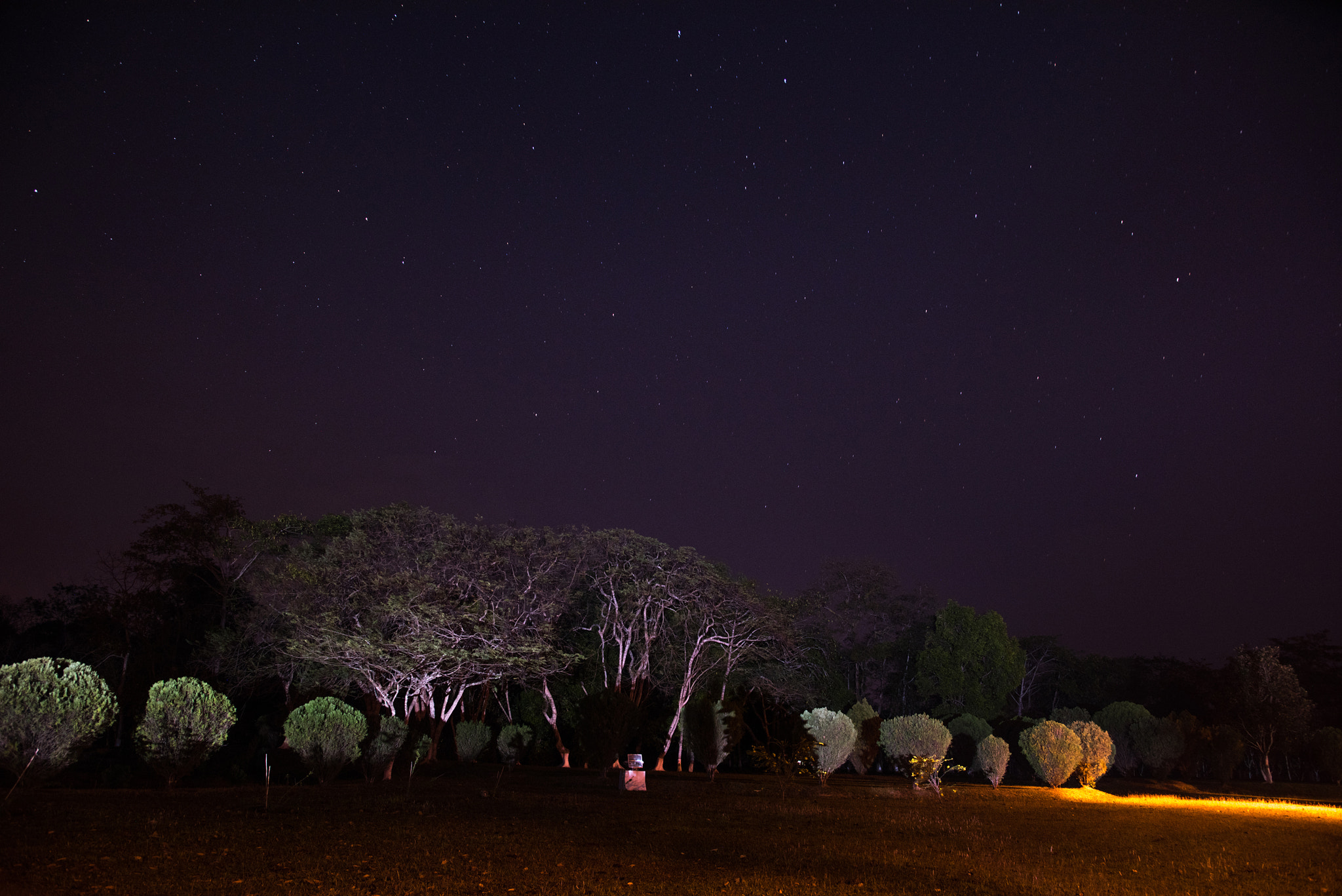 Nikon D810 sample photo. Beautiful night sky photography