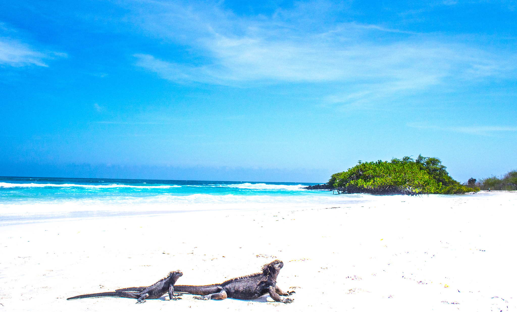 Olympus OM-D E-M5 sample photo. A day in galapagos islands photography