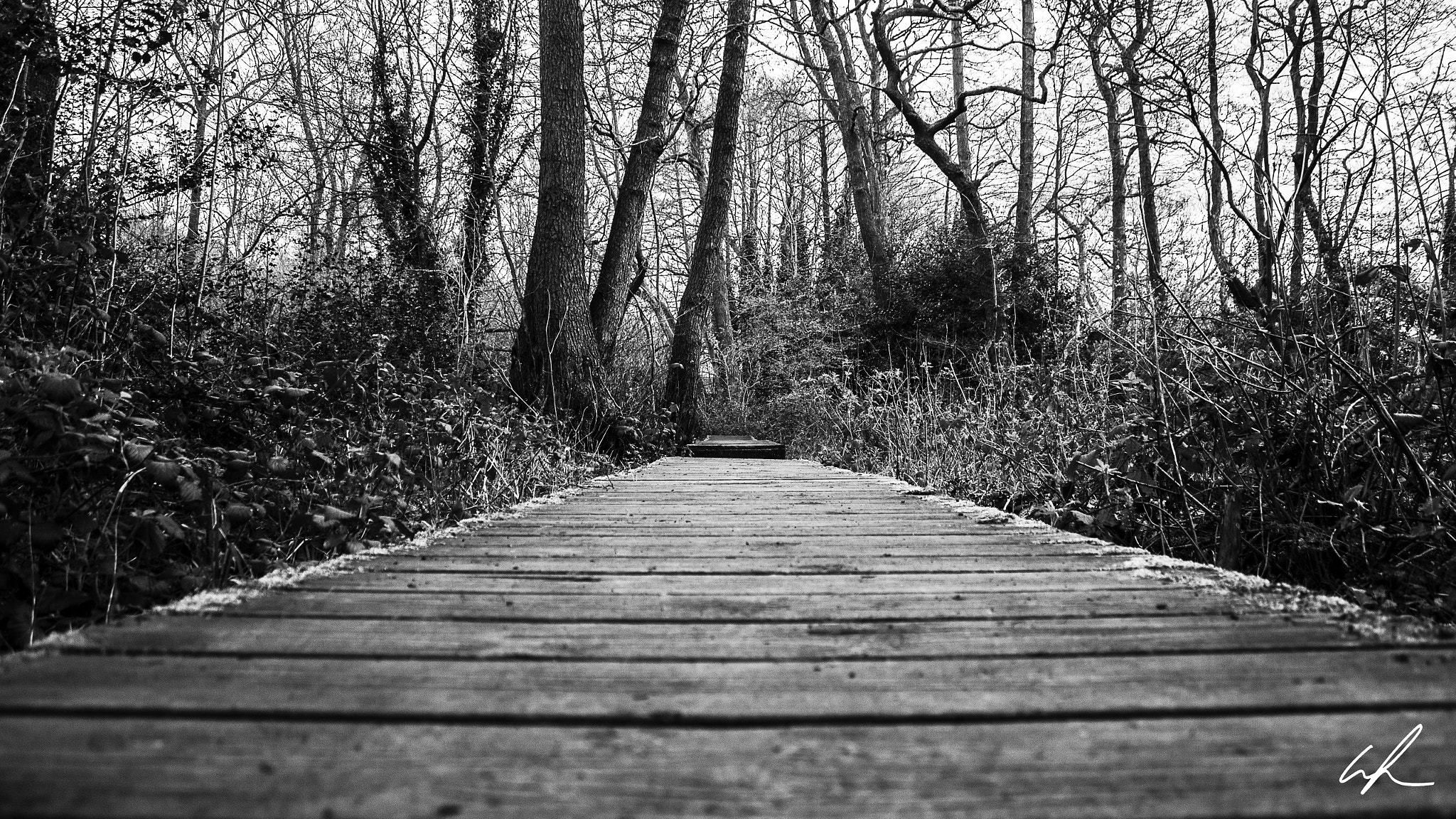 Canon EF-S 18-55mm F3.5-5.6 IS sample photo. Wooden walkway photography