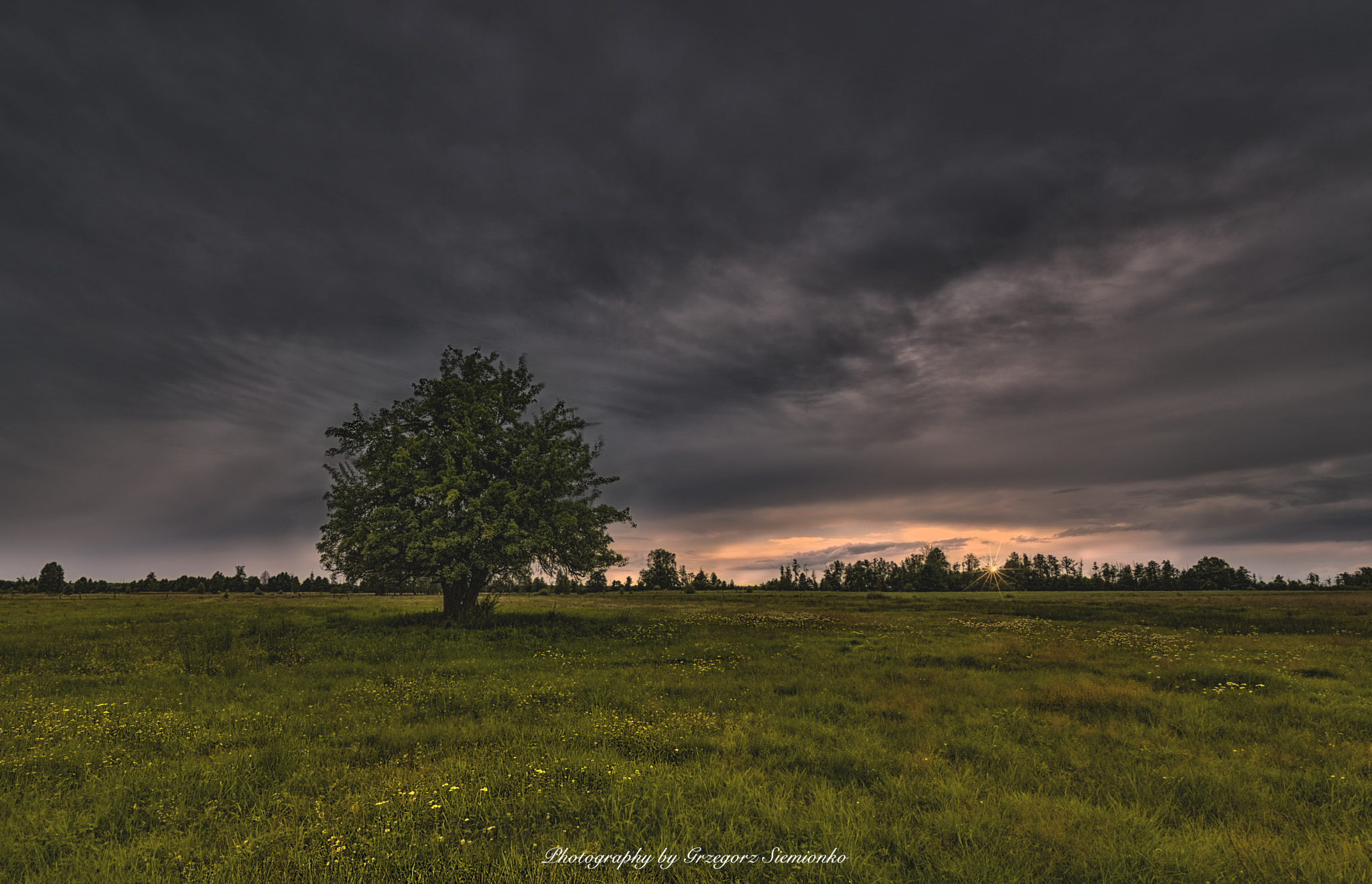 Nikon AF-S Nikkor 14-24mm F2.8G ED sample photo. Field photography