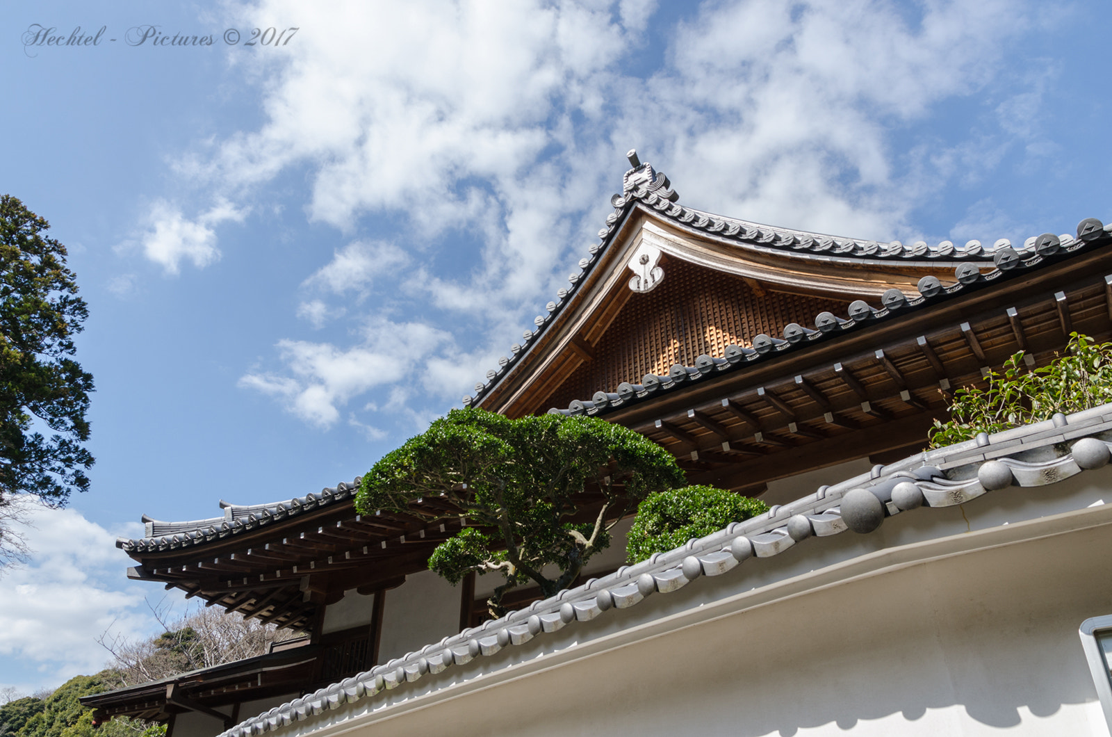 Sigma 17-70mm F2.8-4 DC Macro OS HSM sample photo. Kamakura photography
