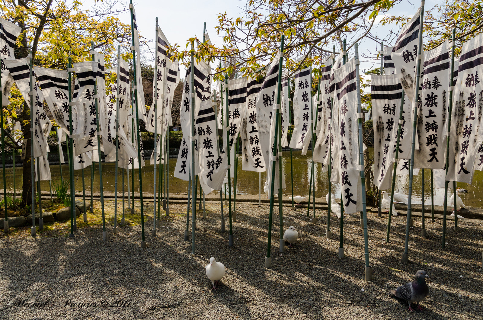 Nikon D7000 + Sigma 17-70mm F2.8-4 DC Macro OS HSM sample photo. Kamakura photography