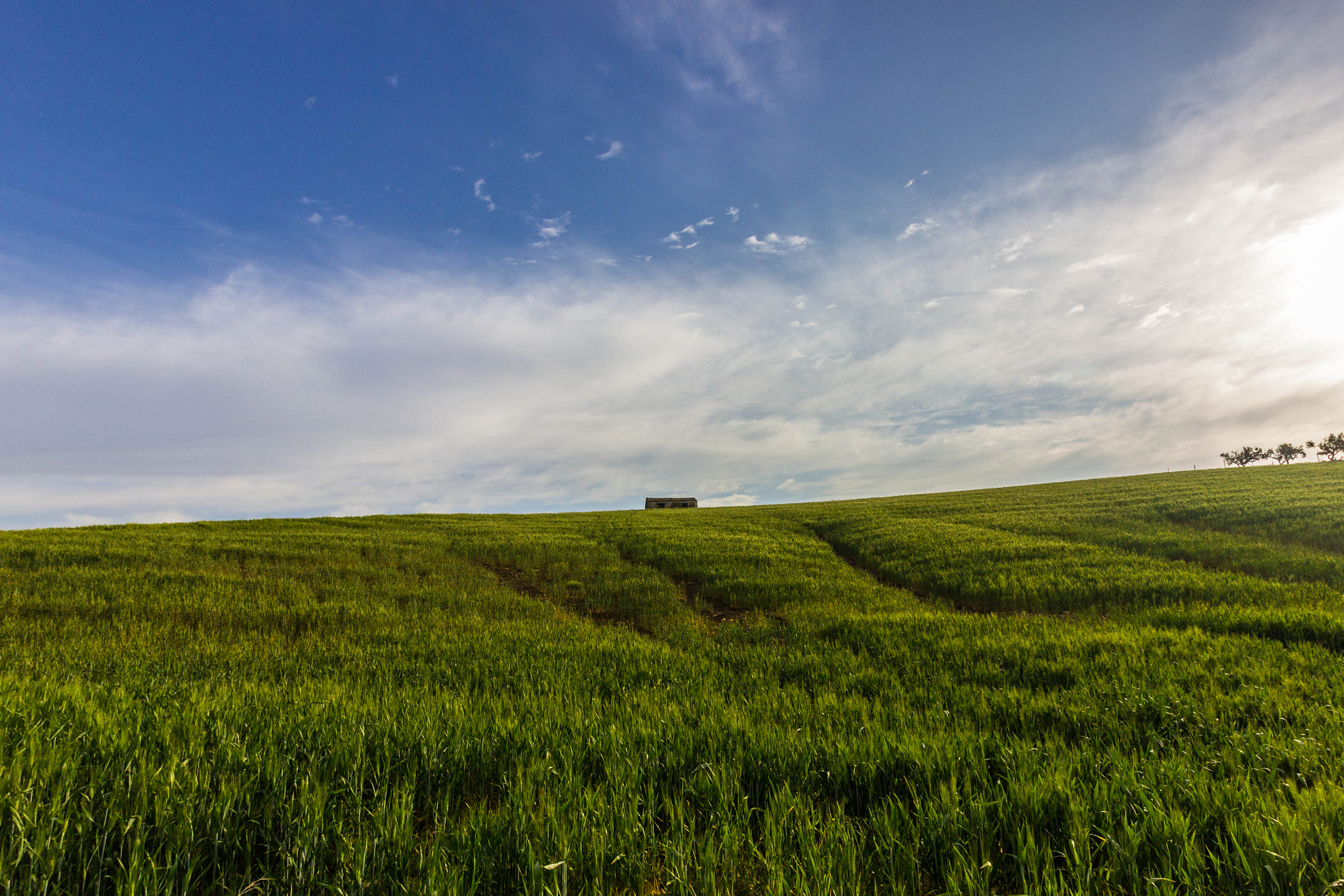 Sigma 10-20mm F3.5 EX DC HSM sample photo. Sicilian landscape photography