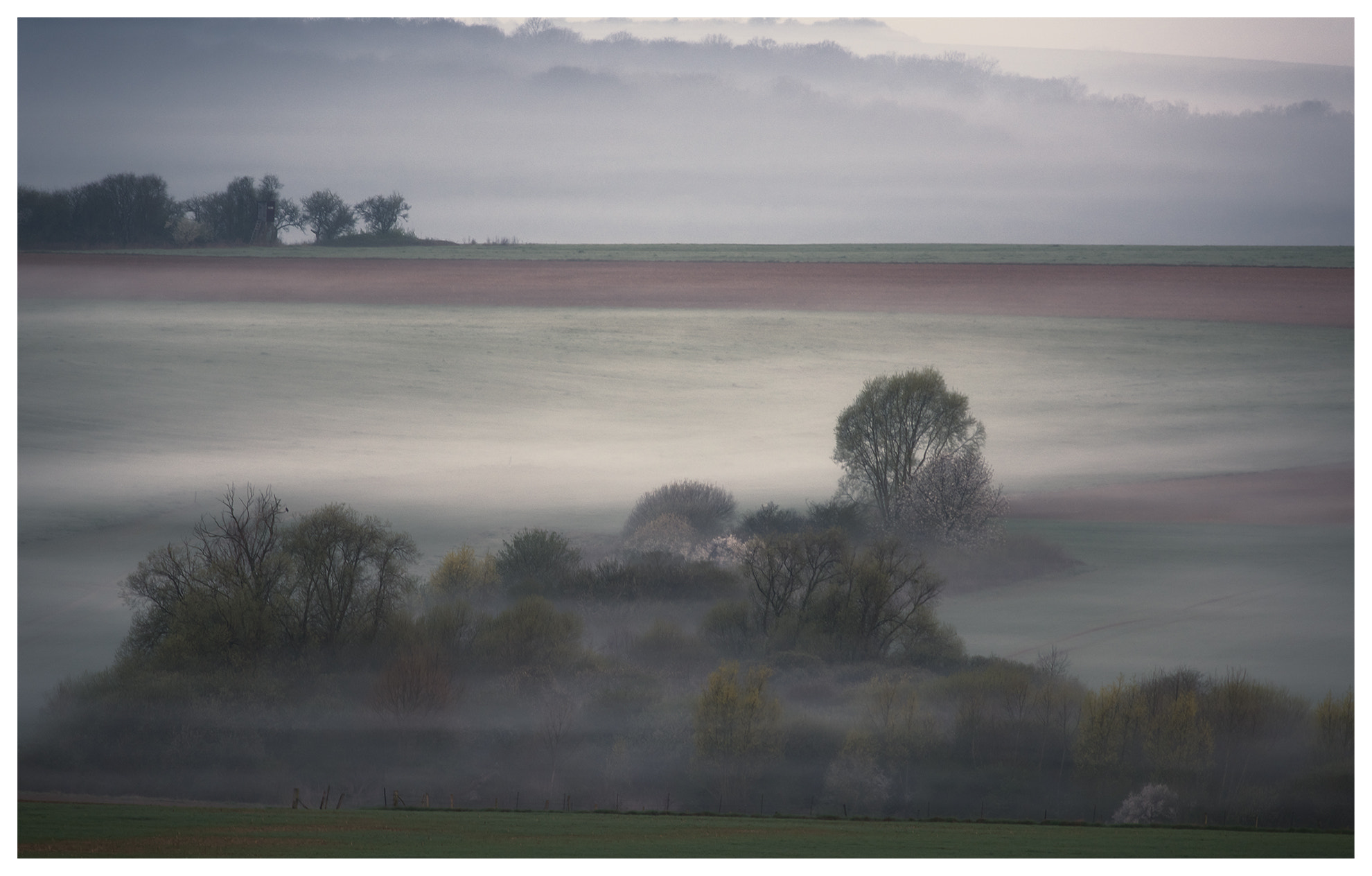 Nikon AF-S Nikkor 300mm F2.8G ED VR II sample photo. Le pays du matin calme !   | land of the morning calm photography