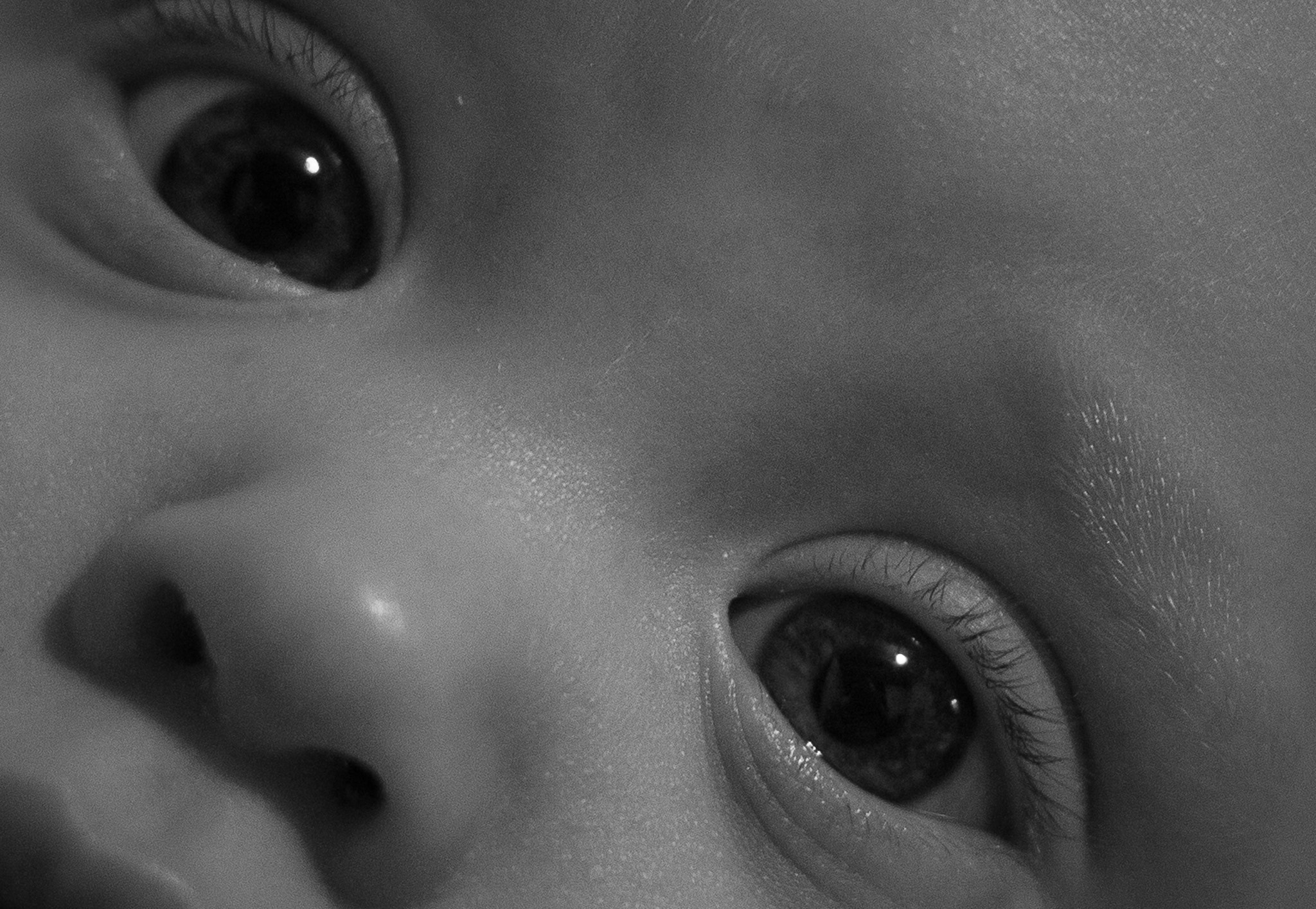 Canon EF 35-80mm f/4-5.6 sample photo. Week 11 photography