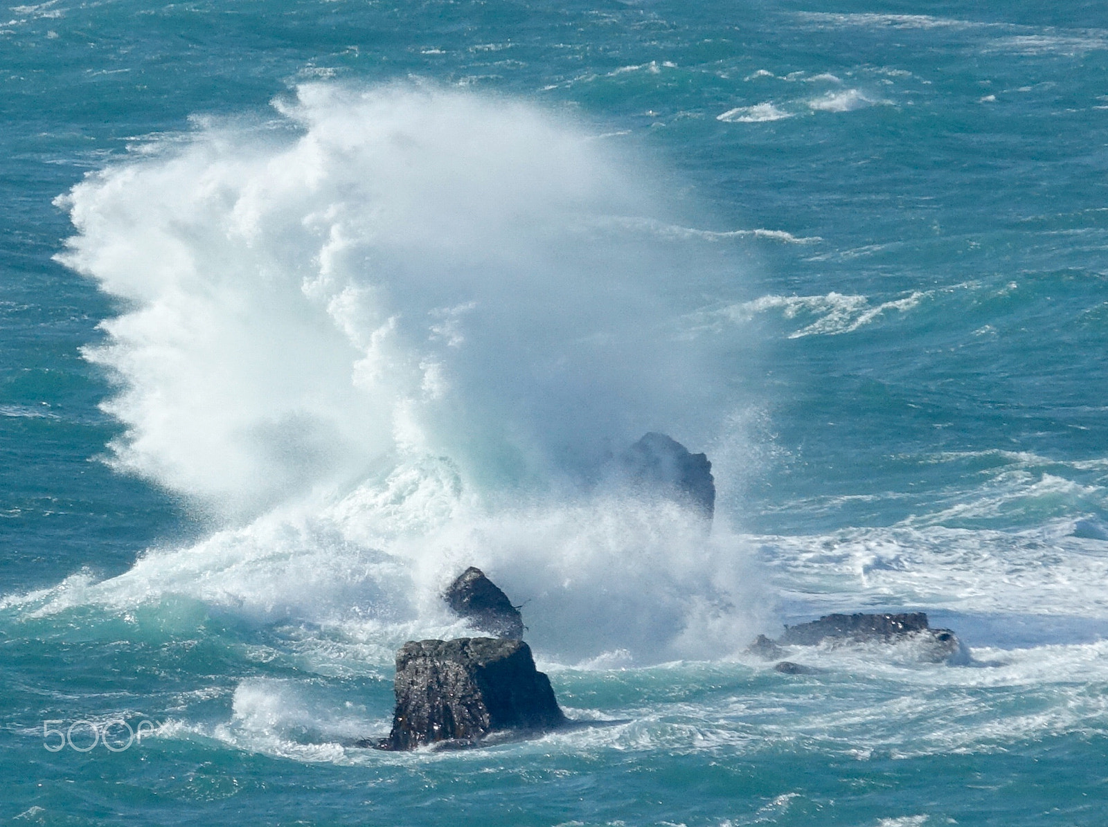 Sony 24-600mm F2.4-4.0 sample photo. The east wind...... photography