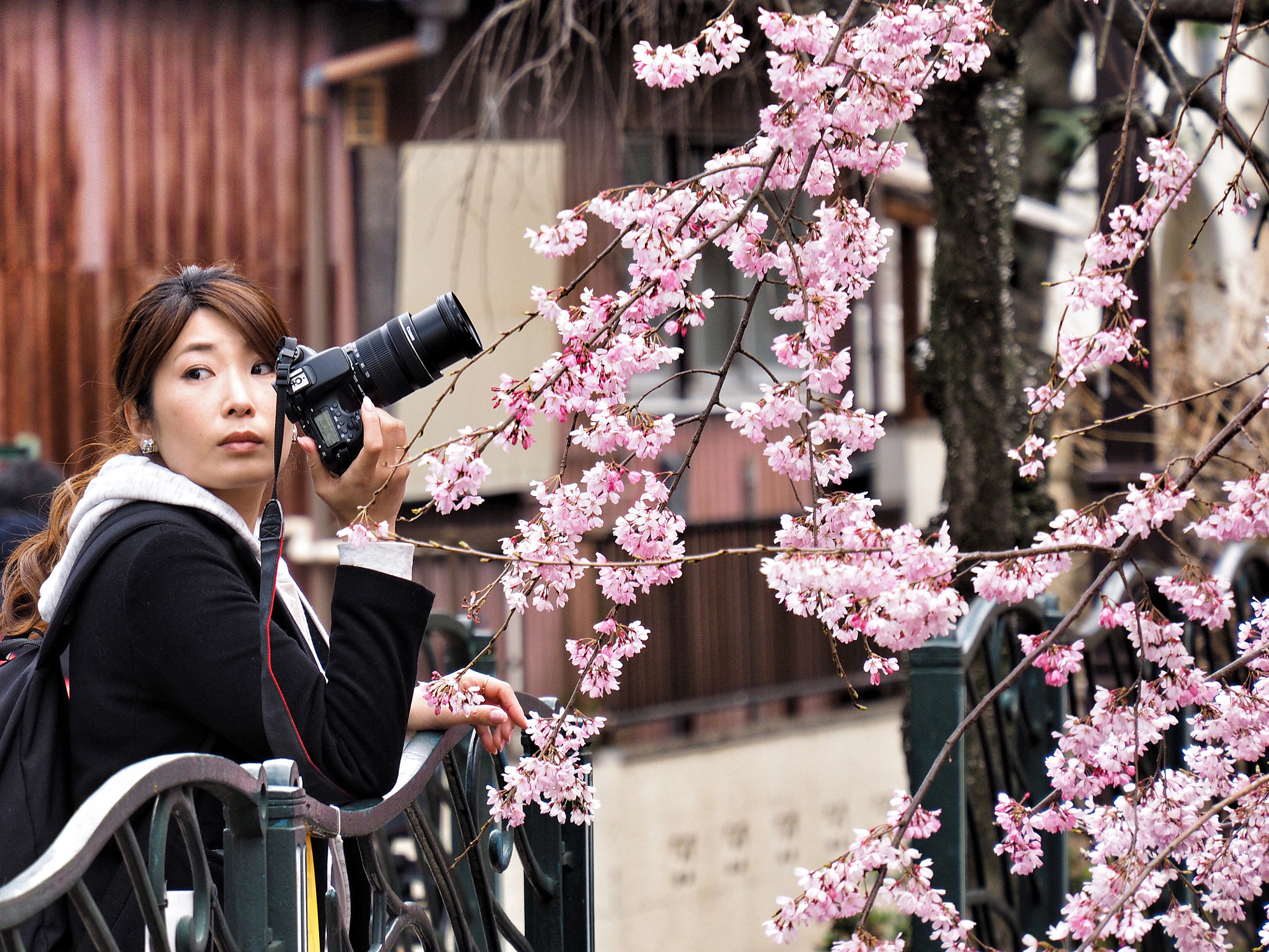 Olympus OM-D E-M1 sample photo. Sakura photography