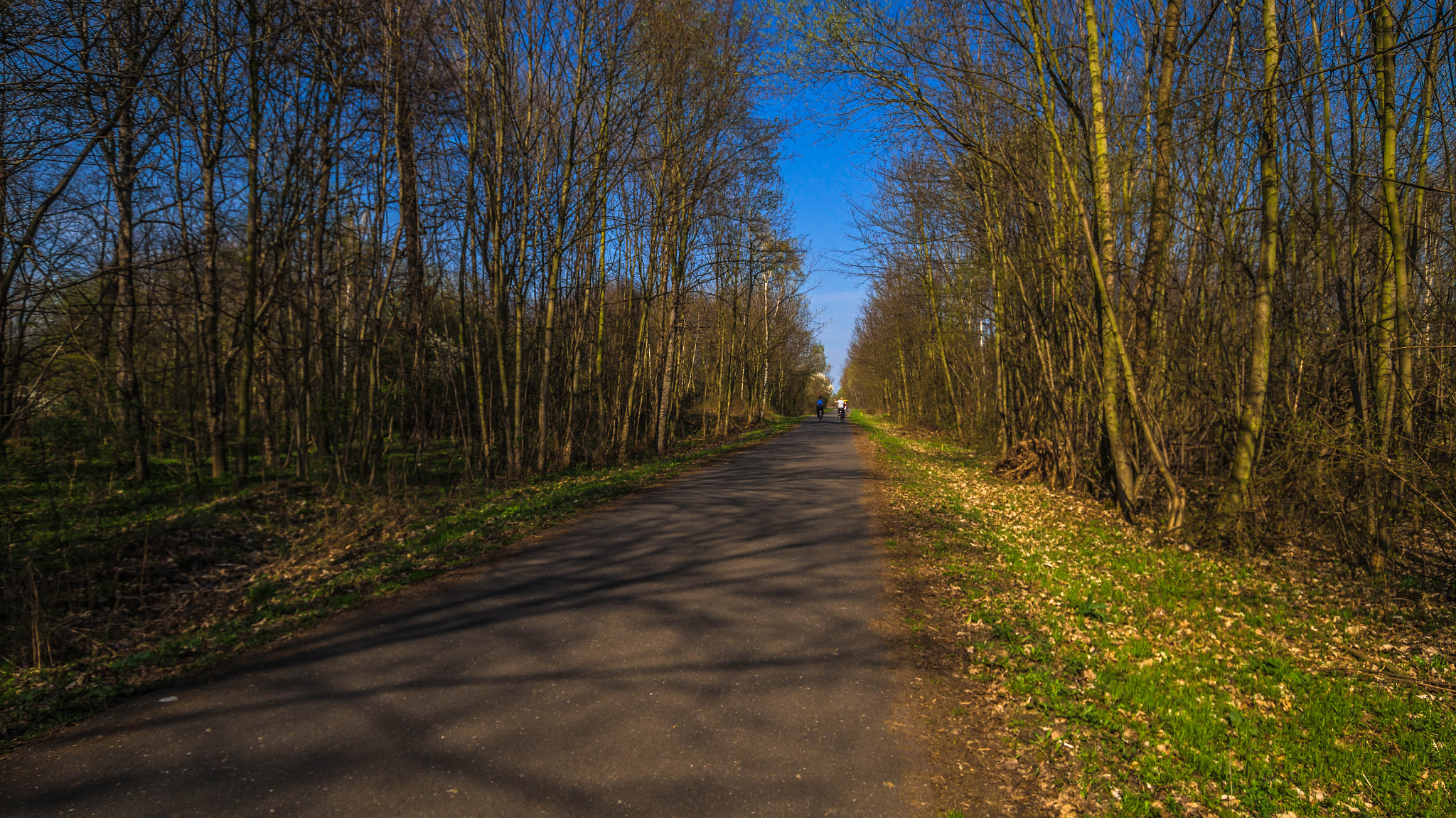 Sony SLT-A58 + Sigma 10-20mm F3.5 EX DC HSM sample photo. Trekking paths photography