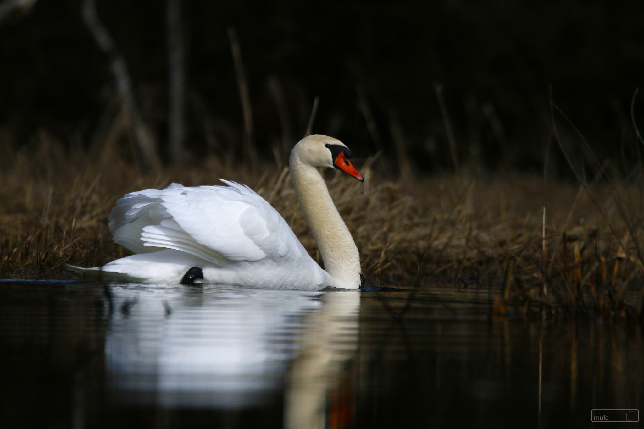 Canon EOS 70D sample photo. Looking good photography
