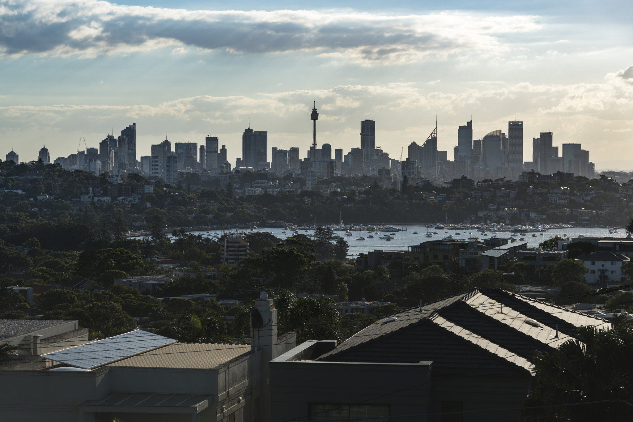 Sony a7R II sample photo. Sydney(dudley page reserve)-1 photography