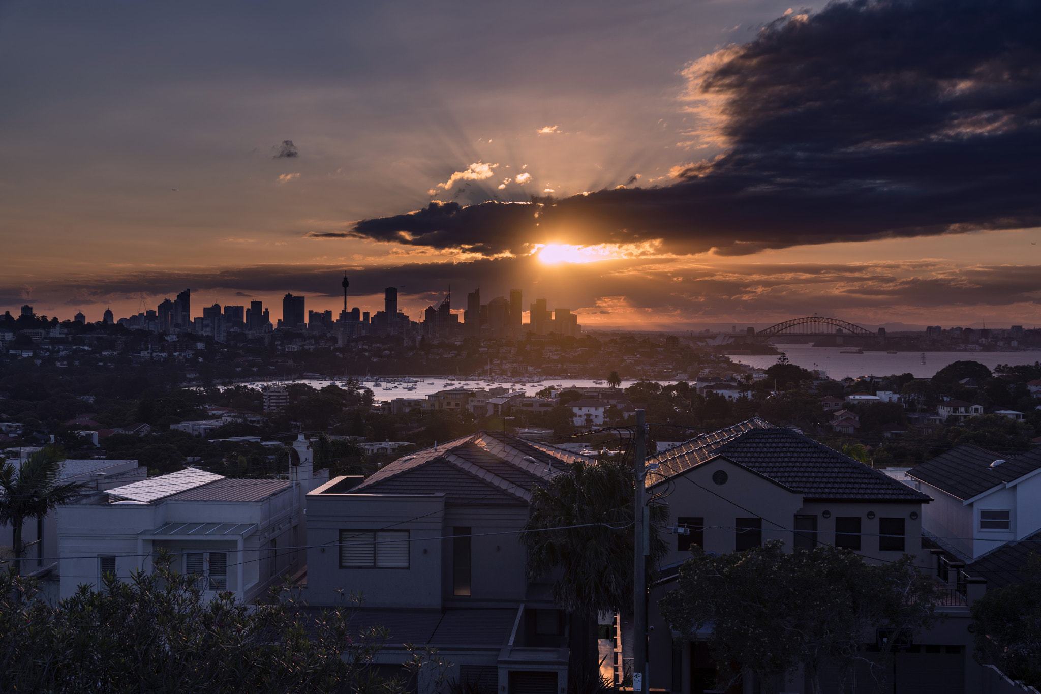 Sony a7R II + Canon 24-105mm F4 DG OS HSM | Art 013 sample photo. Sydney(dudley page reserve)-3 photography