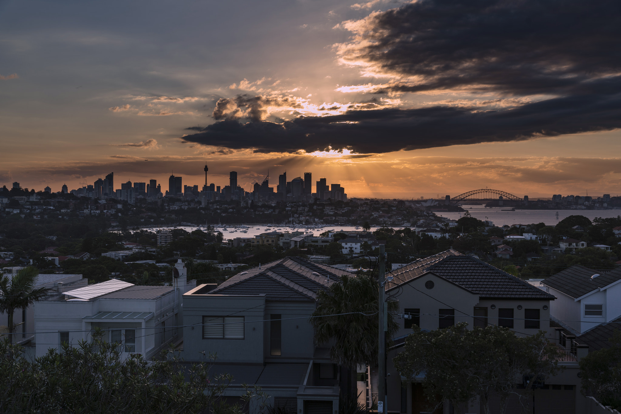 Sony a7R II sample photo. Sydney(dudley page reserve)-4 photography