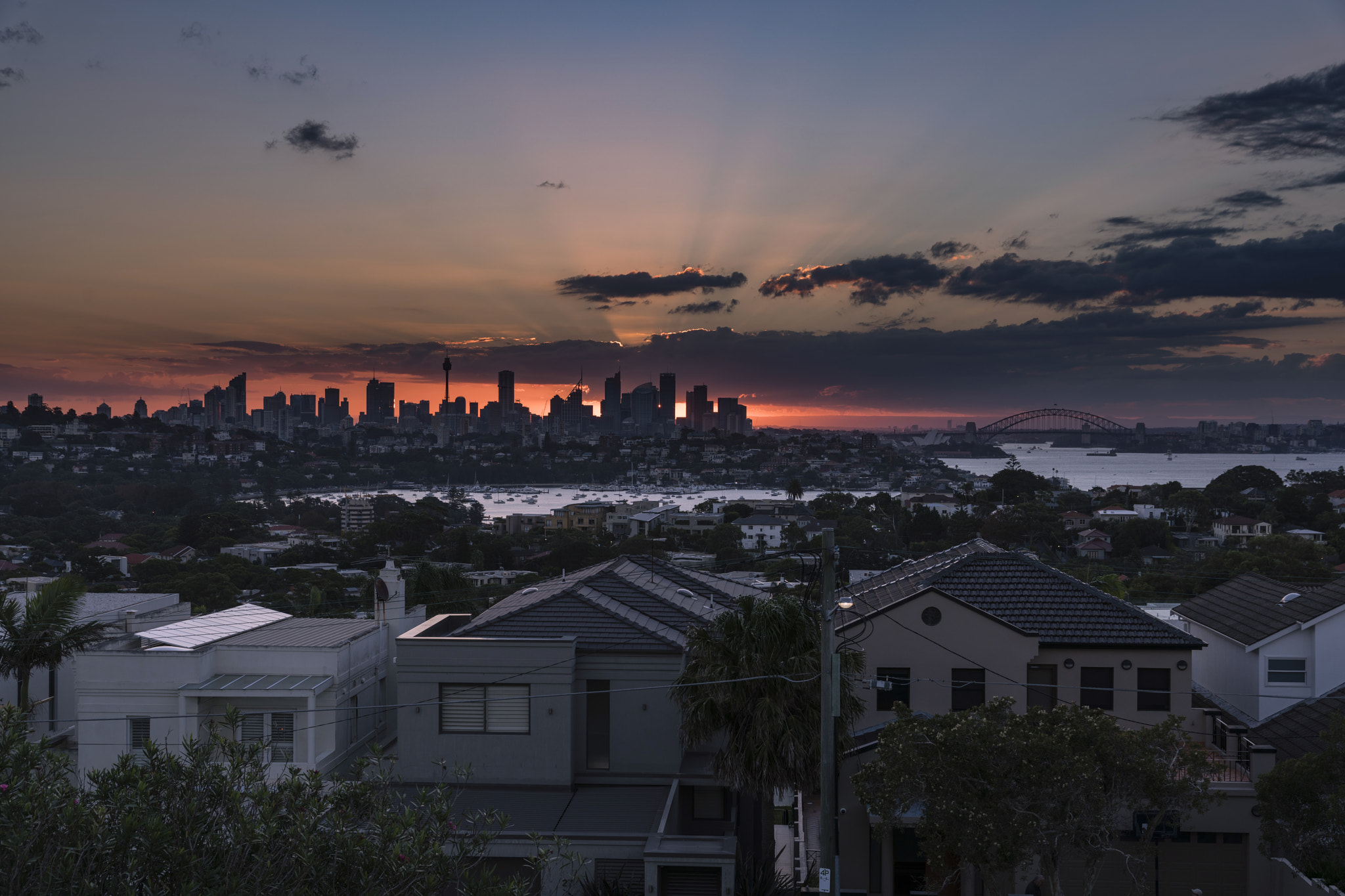 Sony a7R II sample photo. Sydney(dudley page reserve)-5 photography