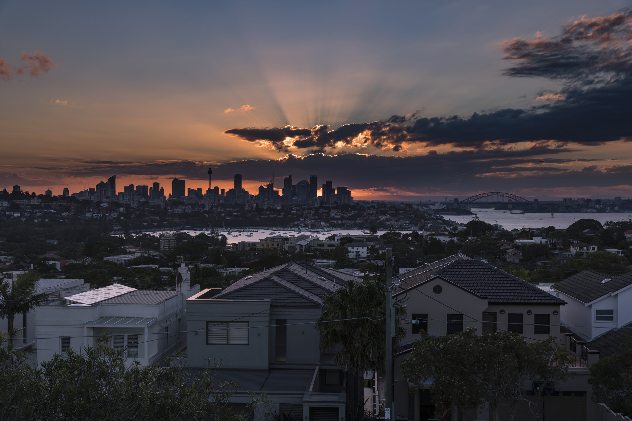 Sony a7R II + Canon 24-105mm F4 DG OS HSM | Art 013 sample photo. Sydney(dudley page reserve)-6 photography