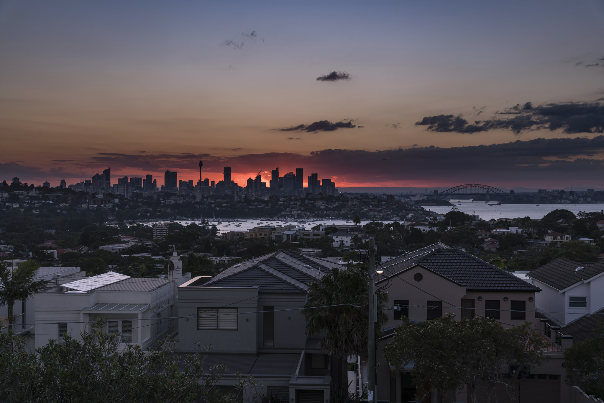 Sony a7R II sample photo. Sydney(dudley page reserve)-7 photography