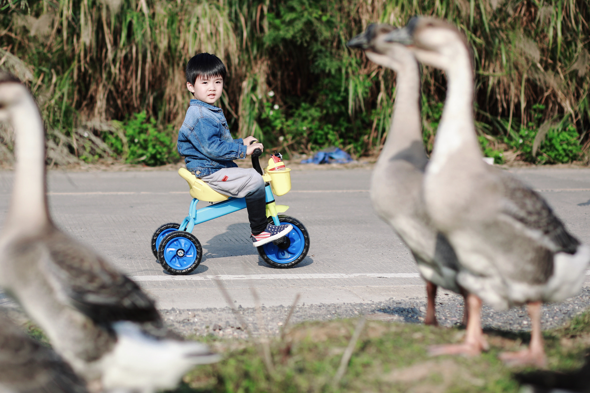 Canon EF 85mm F1.8 USM sample photo