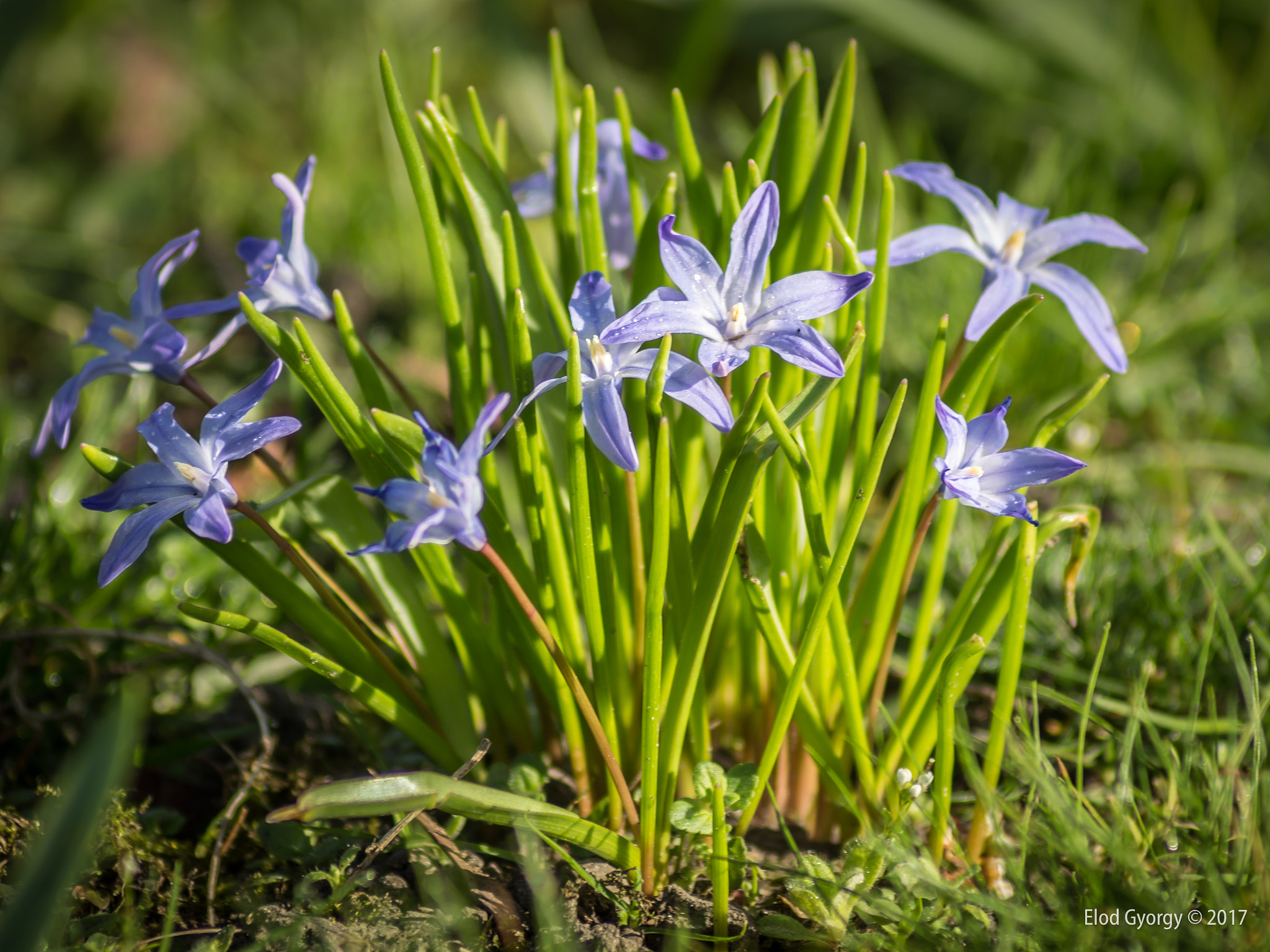Nikon D3200 sample photo. Blue... photography