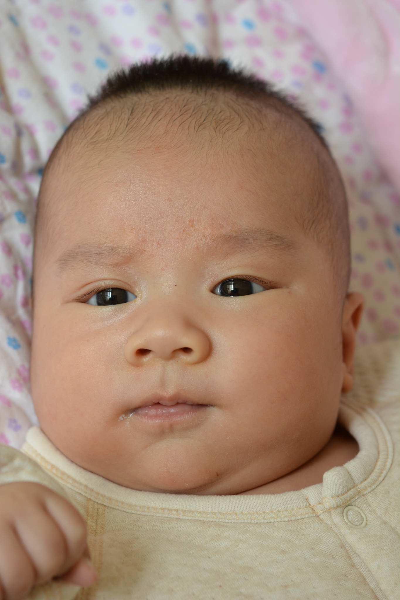 Nikon D7100 + Nikon AF Nikkor 50mm F1.8D sample photo