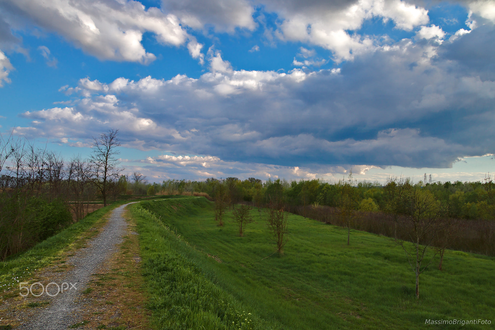 Canon EOS 70D + Canon TS-E 90mm F2.8 Tilt-Shift sample photo. Fickle spring photography