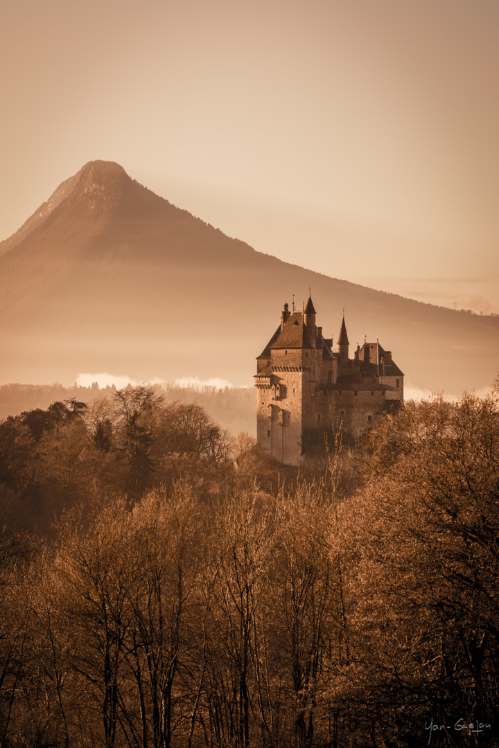 Nikon D7100 + Sigma 70-200mm F2.8 EX DG Macro HSM II sample photo. Château de menthon photography