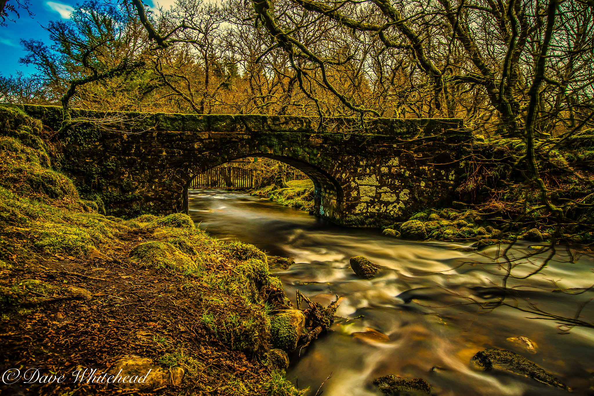 Nikon D750 + Sigma 10-20mm F3.5 EX DC HSM sample photo. Golden photography