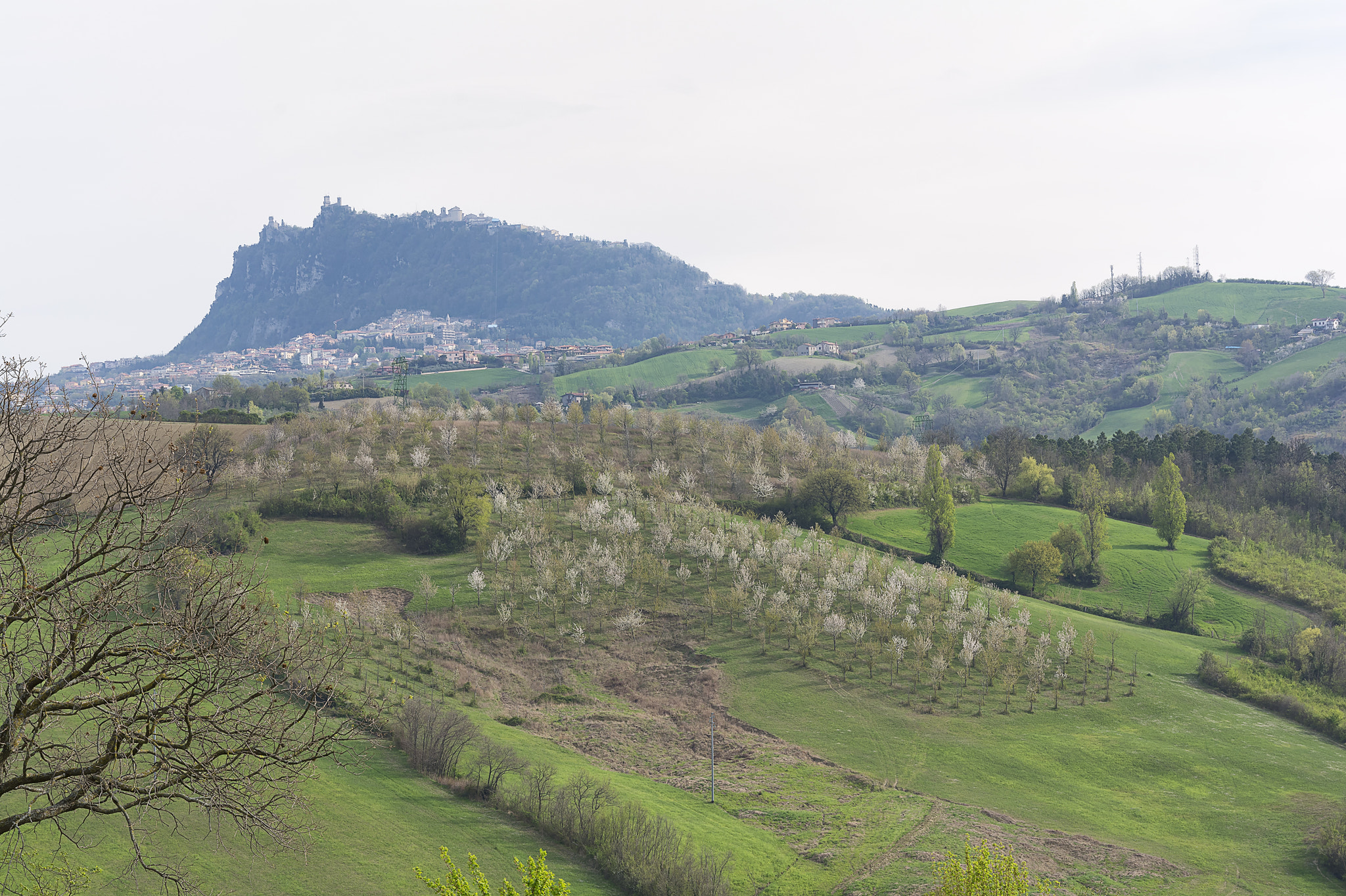 Nikon D7100 + Sigma 24-105mm F4 DG OS HSM Art sample photo. Spring photography
