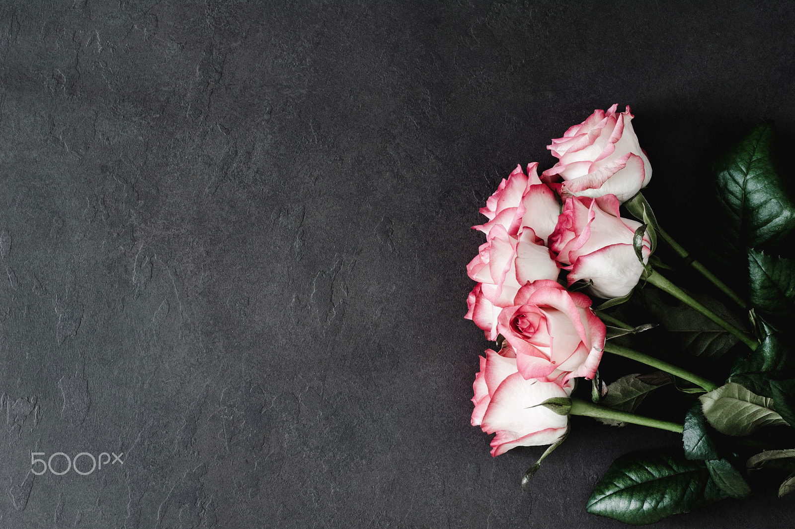 Nikon D7100 sample photo. Stylish pink roses on dark stone background photography