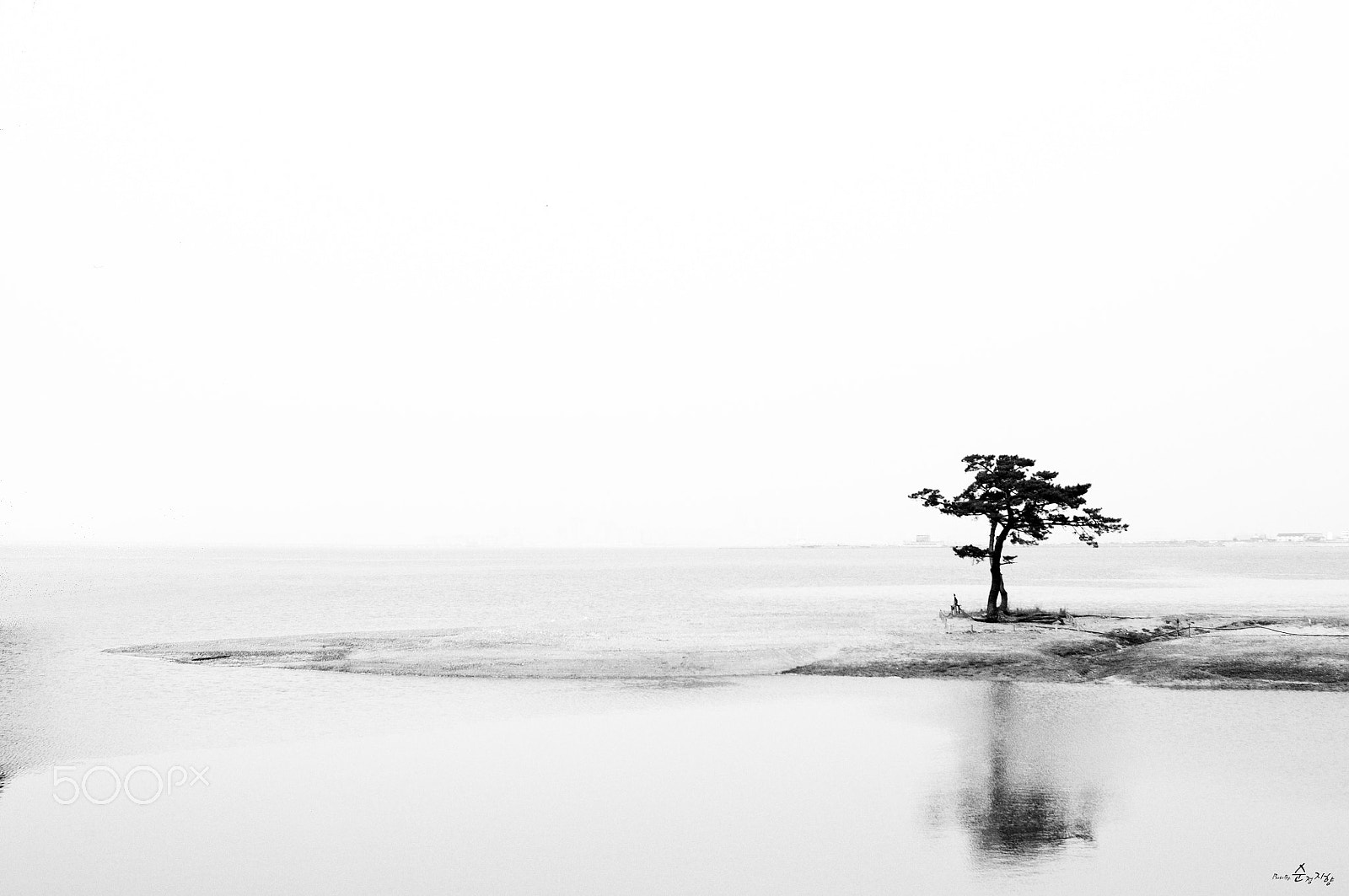 Nikon D90 sample photo. Rest photography