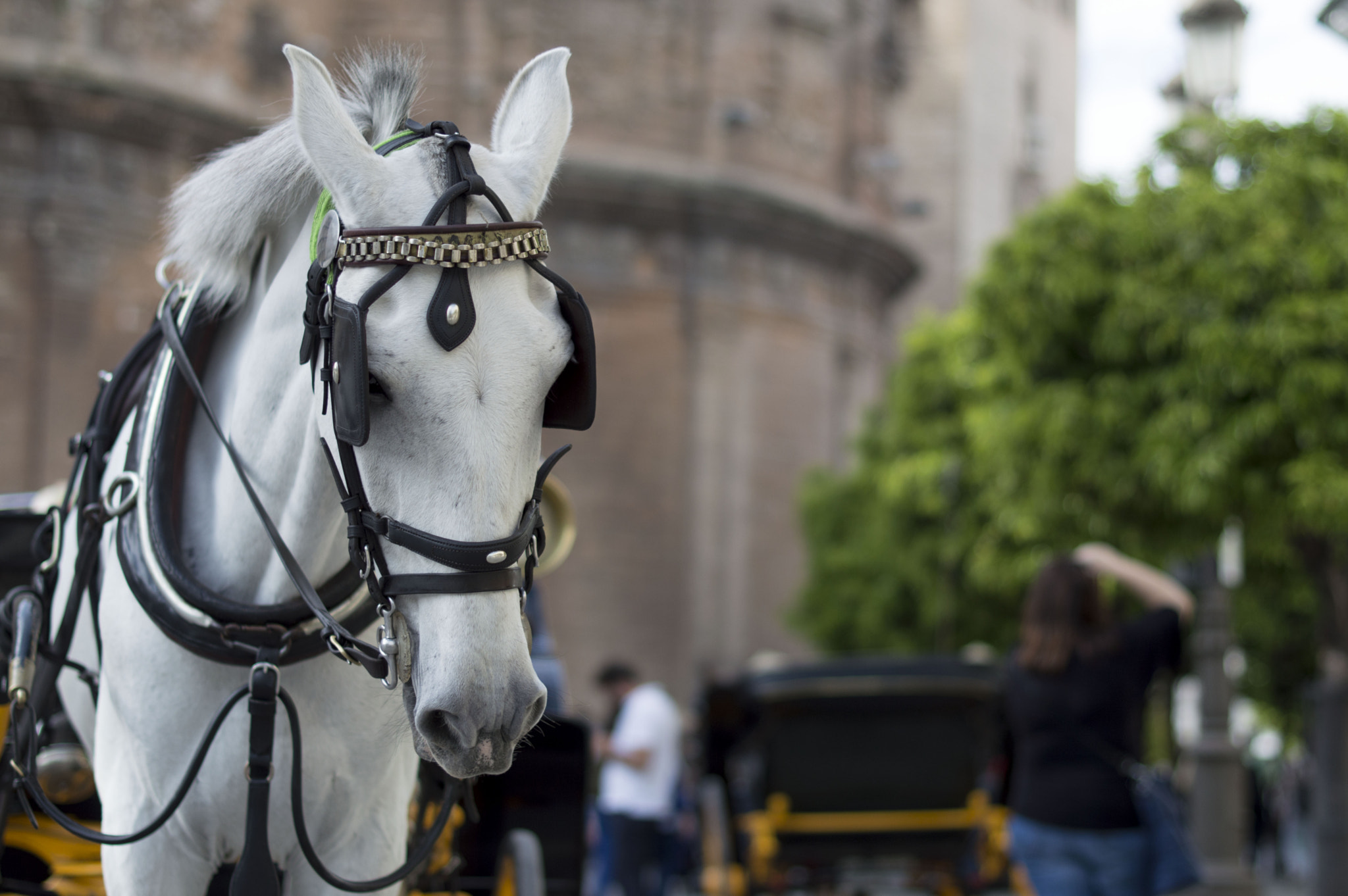 Nikon D3200 sample photo. Las calles de sevilla photography