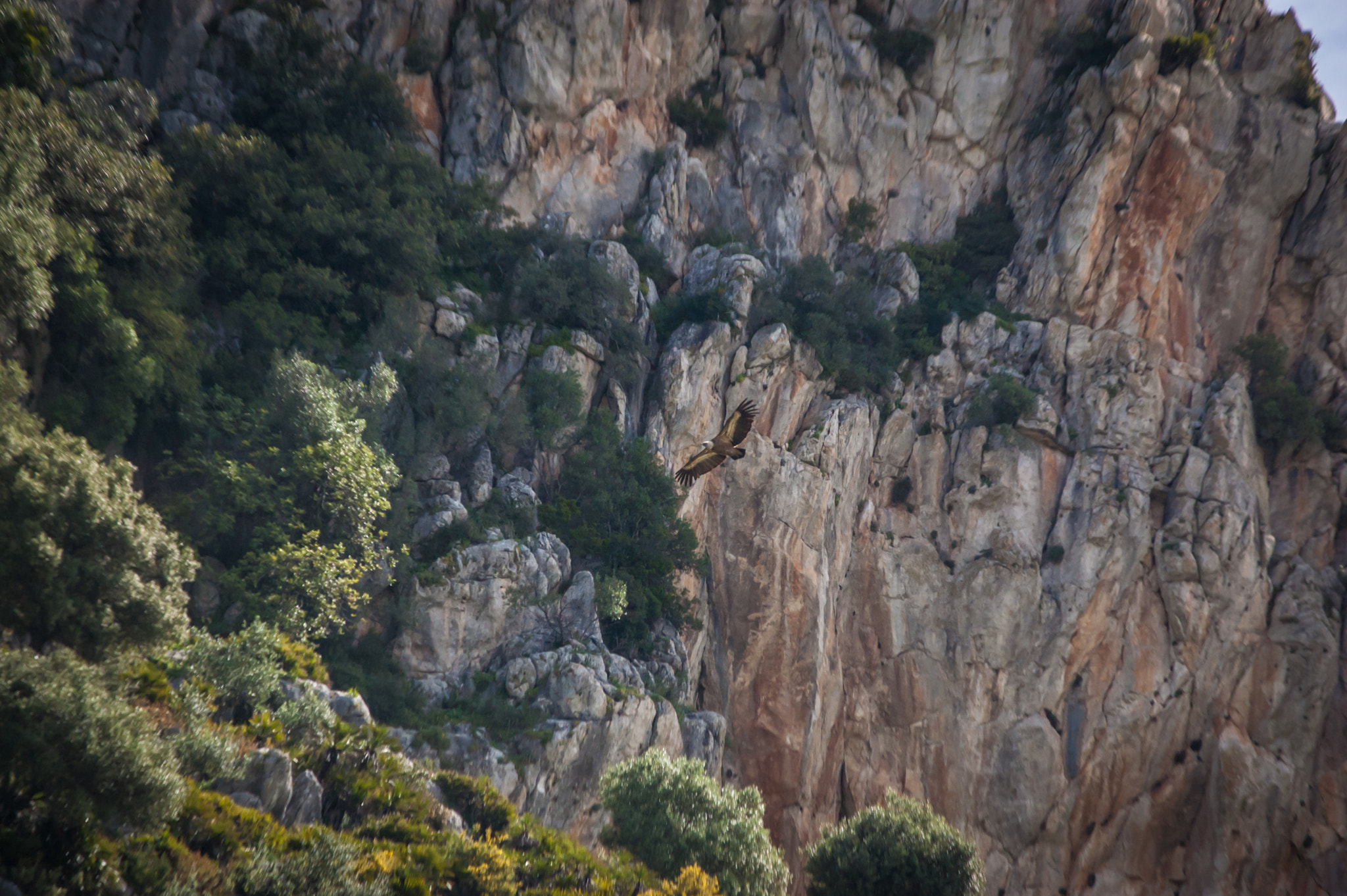 Nikon D40 sample photo. Casares photography