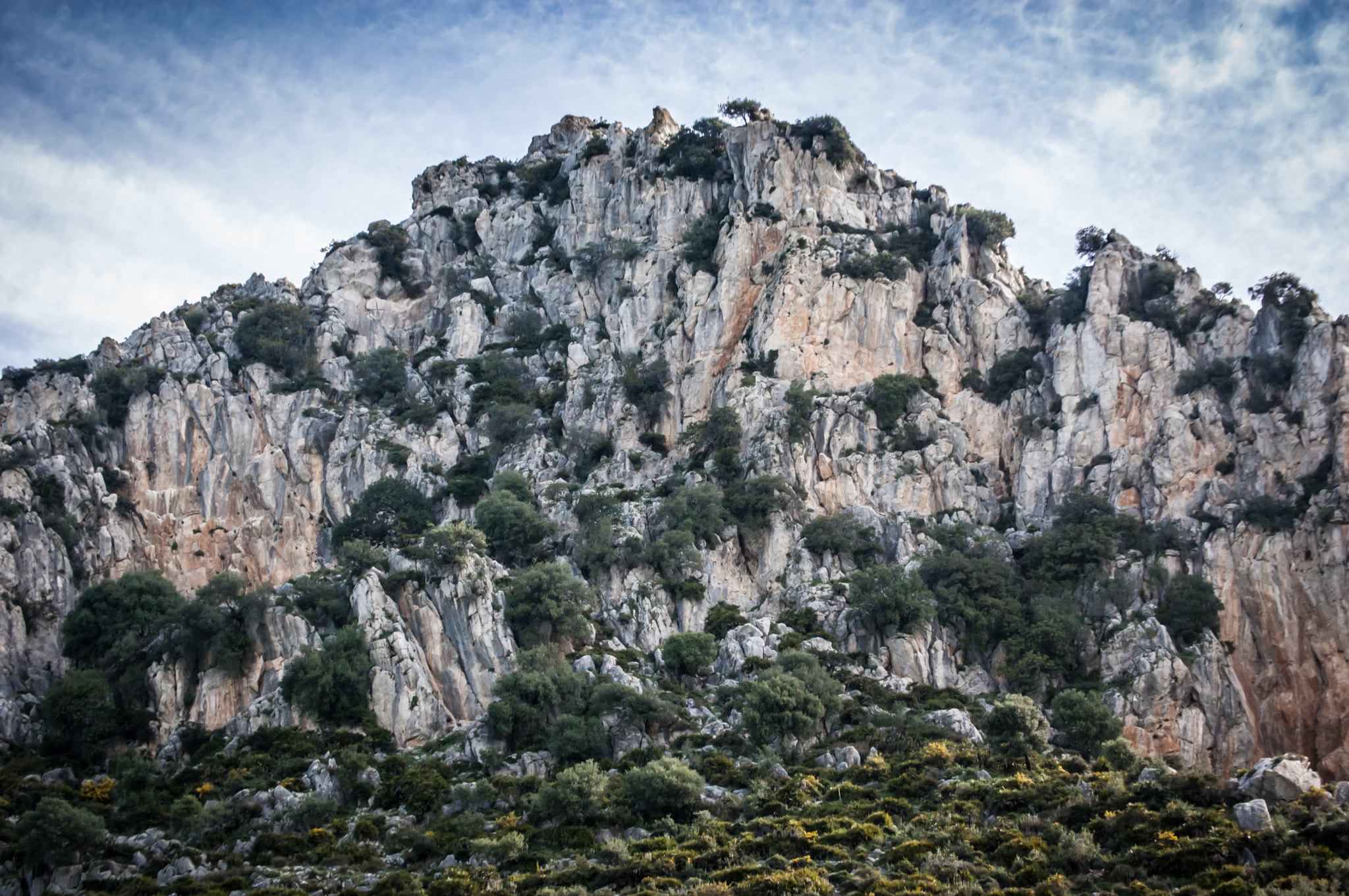 Nikon D40 sample photo. Casares photography
